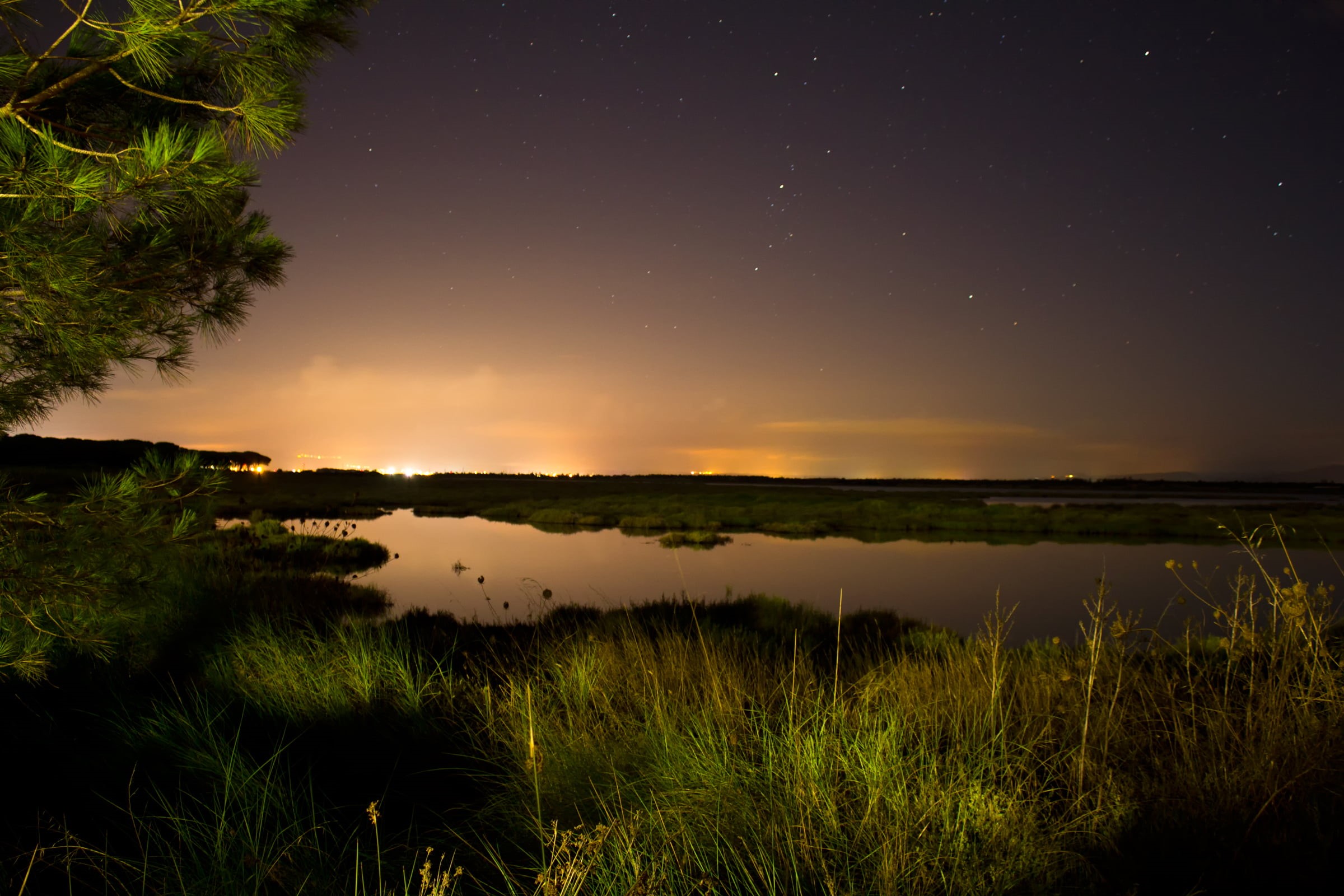 body, light  night, landscape, scenics, reflection, City lights, stagno, green, stars, lake, night, green grass, 1080P, milky Way, stelle, grass, field, HD Wallpaper
