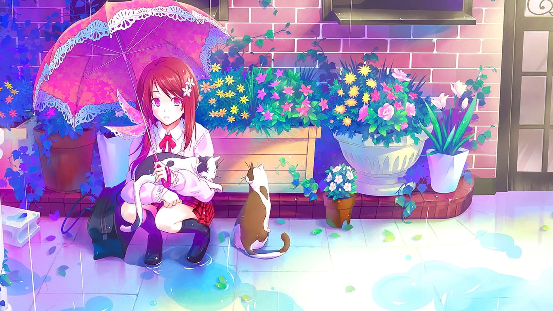 childhood, 1080P, girls, lifestyles, full length, real people, cat, outdoors, multi colored, nature, plants, child, umbrella, plant, anime, leisure activity, HD Wallpaper