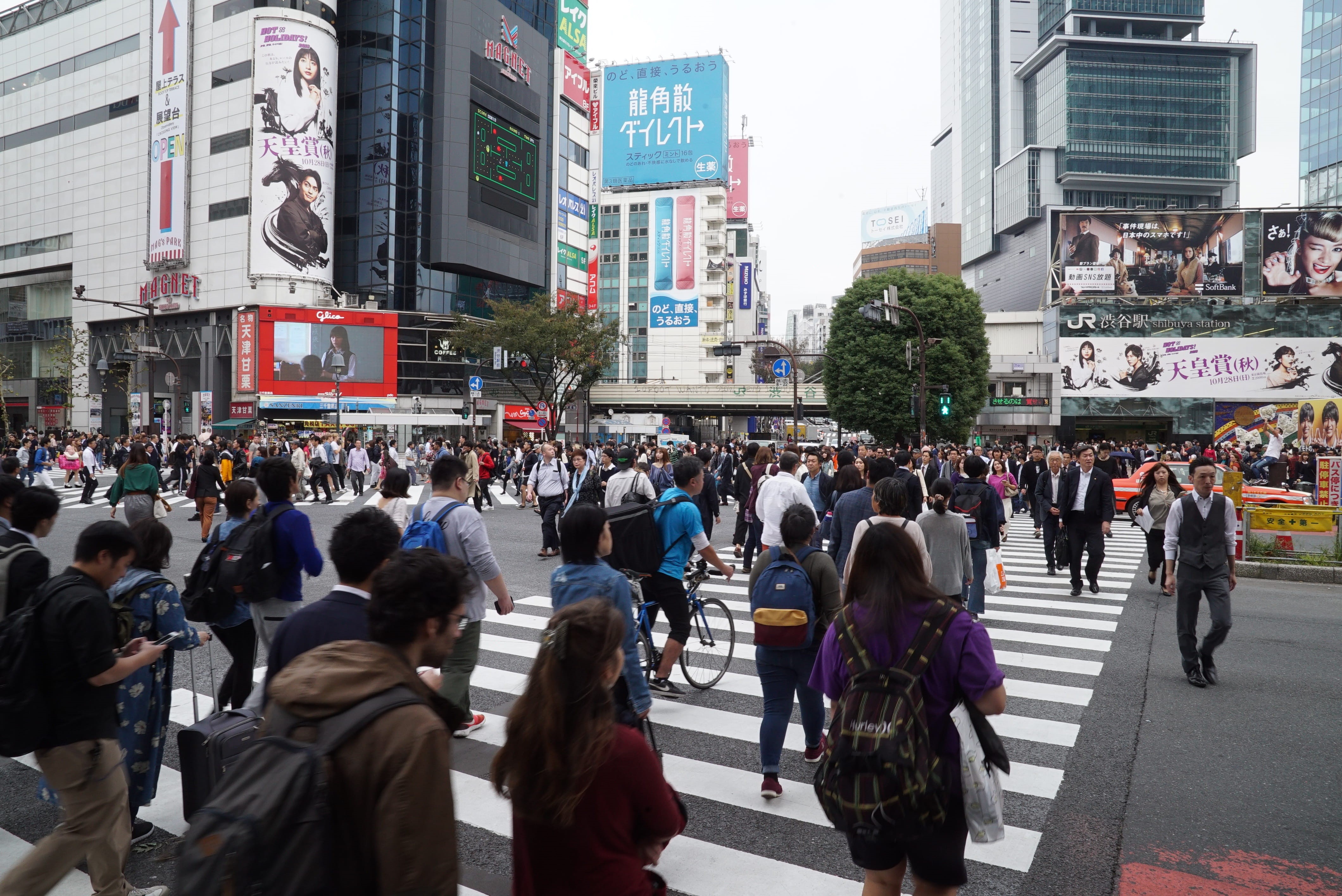 street, japan, road, crowds, city, sign, women, large group of people, road marking, lifestyles, tourist, city life, crowd, built structure, outdoors, walking, HD Wallpaper
