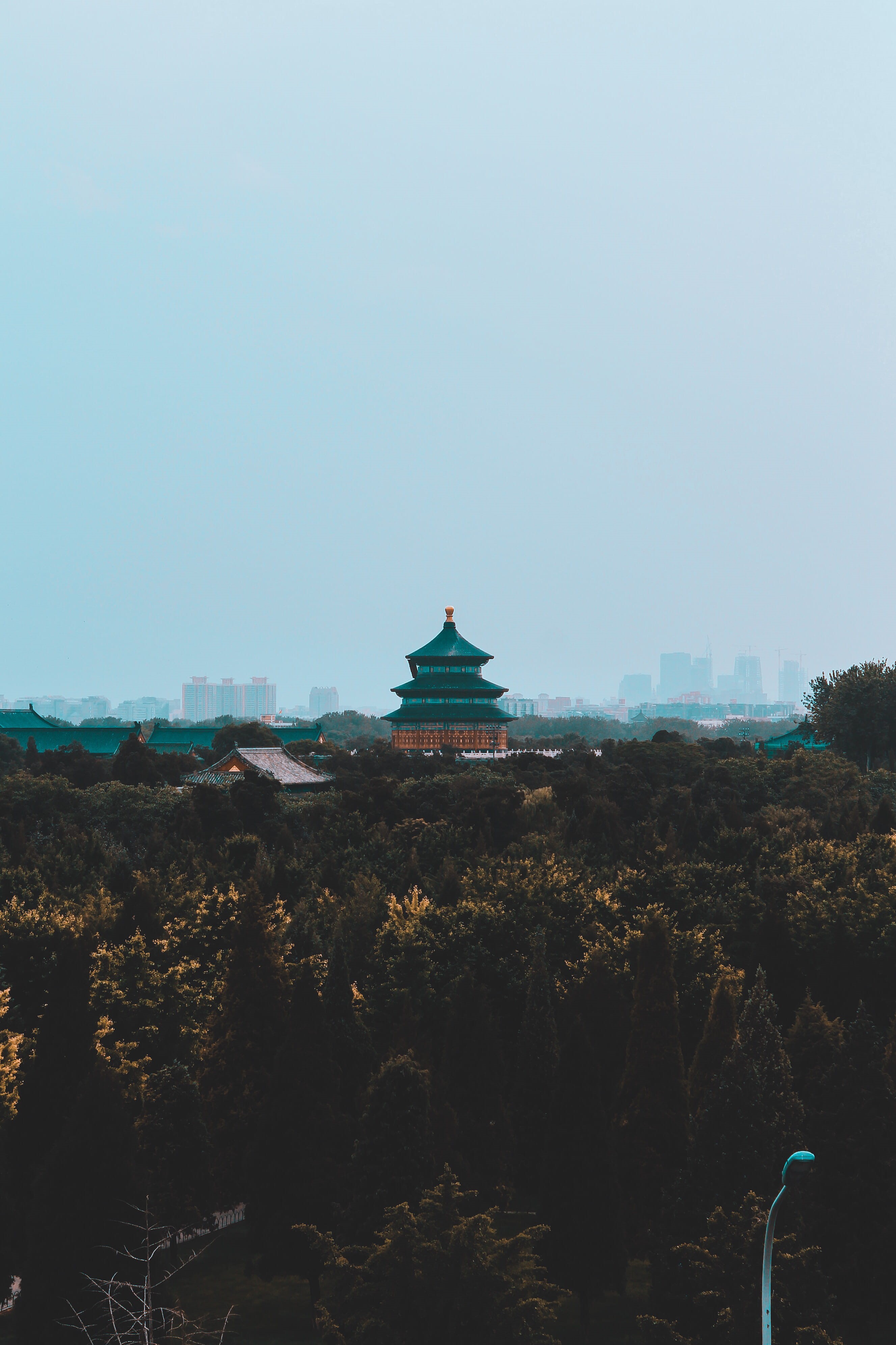 no people, plant, religion, tree, day, historic site, explore, place of worship, sky, china, rooftop, travel destinations, travel, building, outdoors, spirituality, Phone HD Wallpaper
