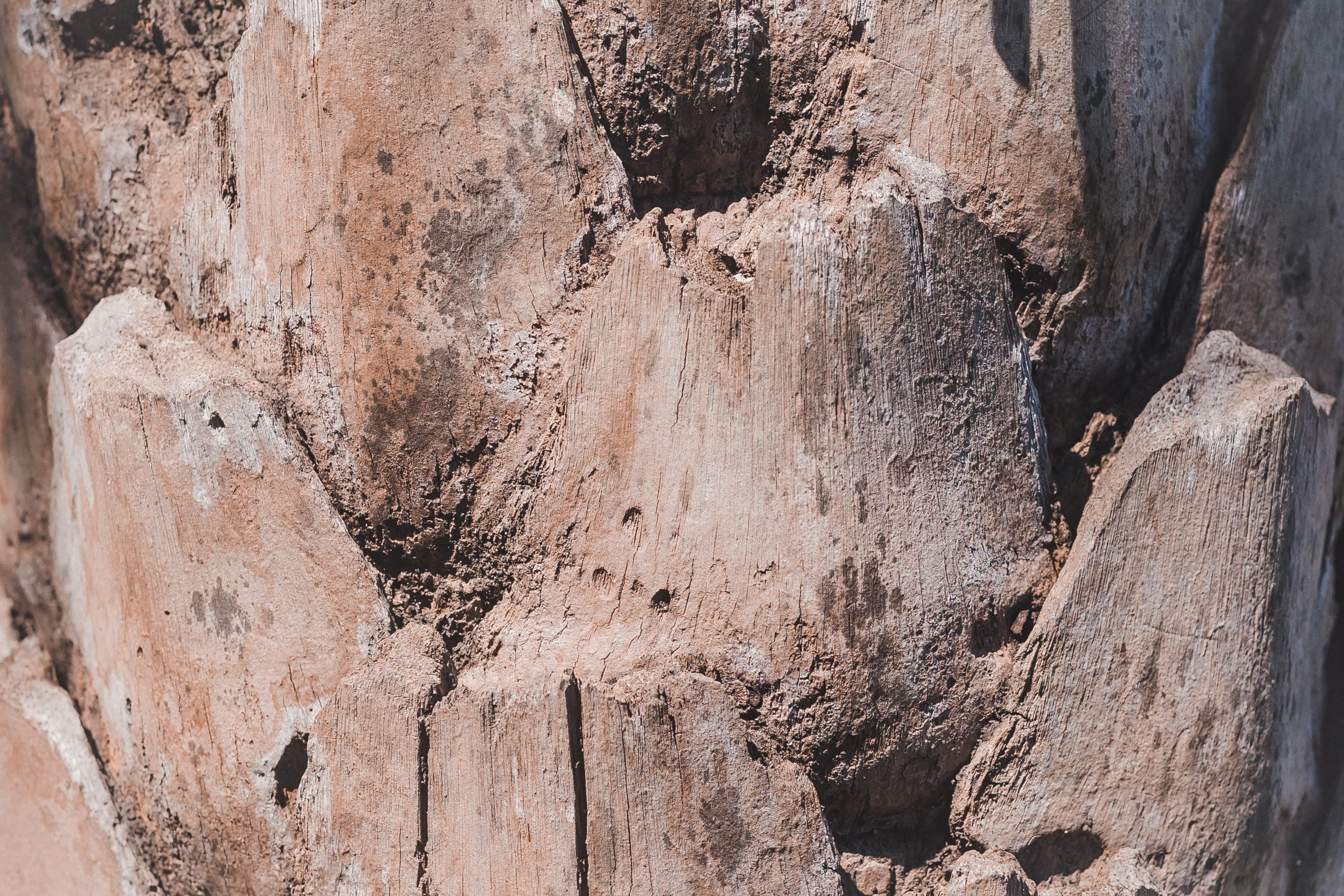 colour, ridge, full frame, outdoors, wood, trunk, pattern, rocks, mountain, world, tree trunk, 2K, rock - object, uneven, rock, day, wood - material, nature, HD Wallpaper