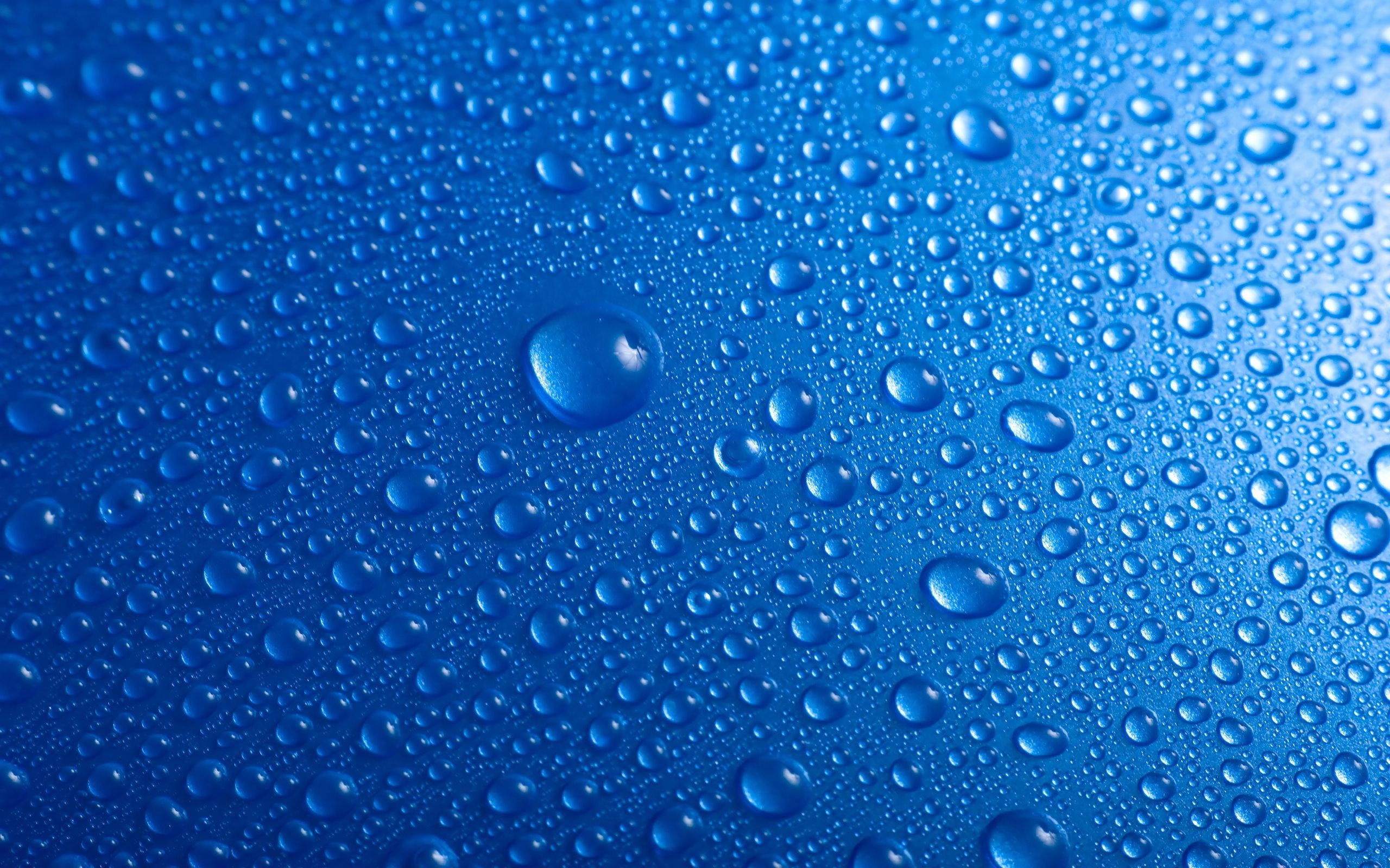 drops, macro, p, 2K, 1080p, wet, condensation, water, blue, HD Wallpaper