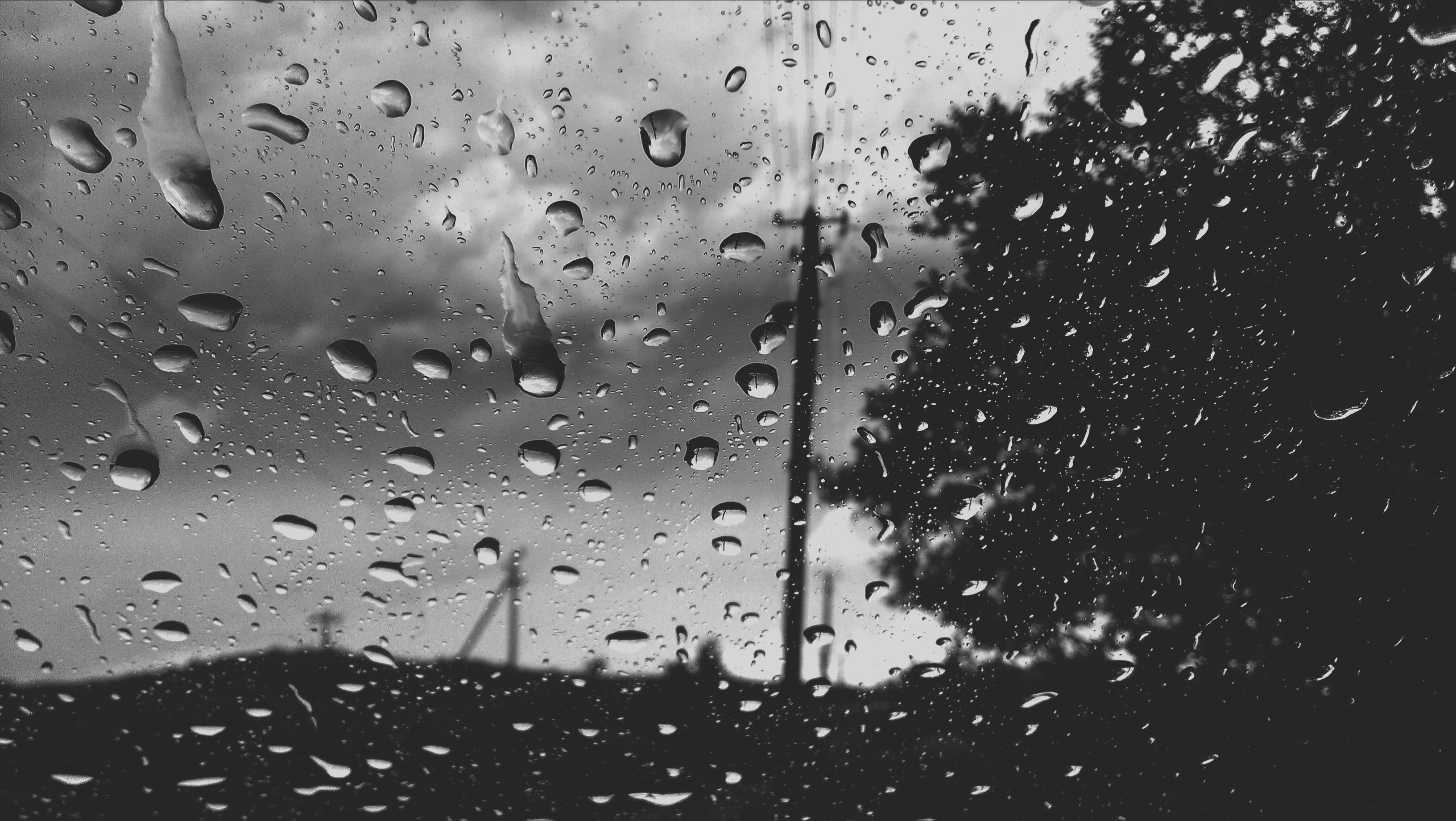 monochrome, 2K, transparent, indoors, focus on foreground, window, glass, raindrop, wet, tree, nature, plant, car, water, water on glass, close-up, dew, HD Wallpaper
