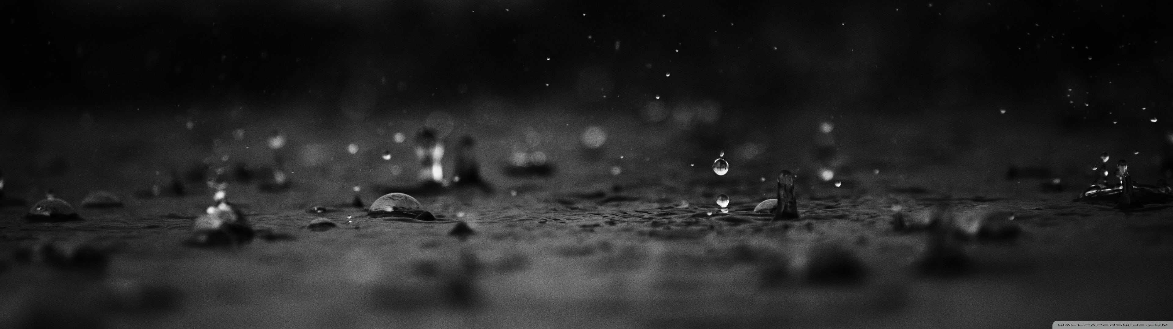 close-up, backgrounds, light - Natural Phenomenon, raindrop, weather, defocused, liquid, night, heat - temperature, motion, monochrome, d, bird, HD Wallpaper