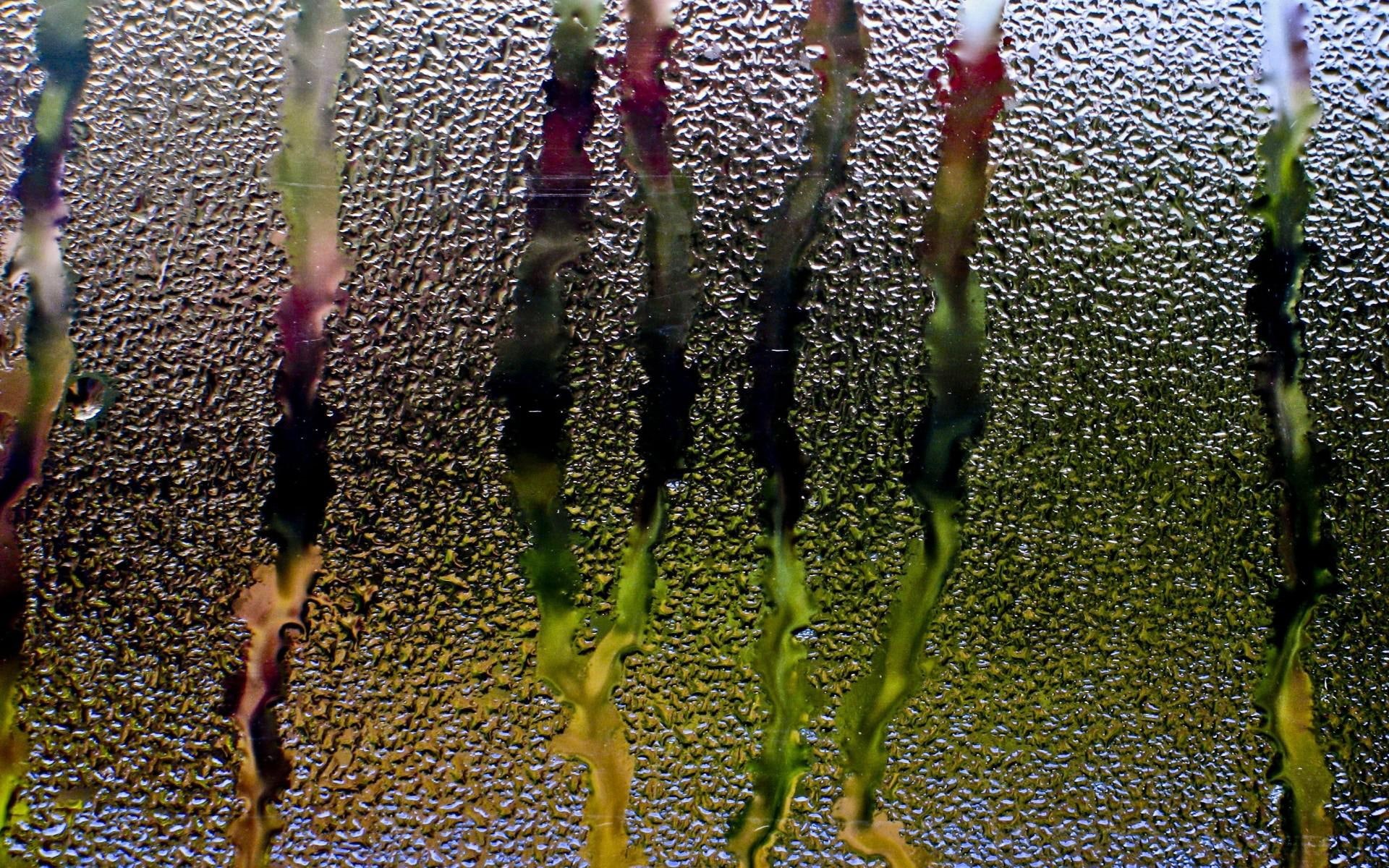 hd, streams, window, glass, drops, rain, water, 1080P, background, HD Wallpaper