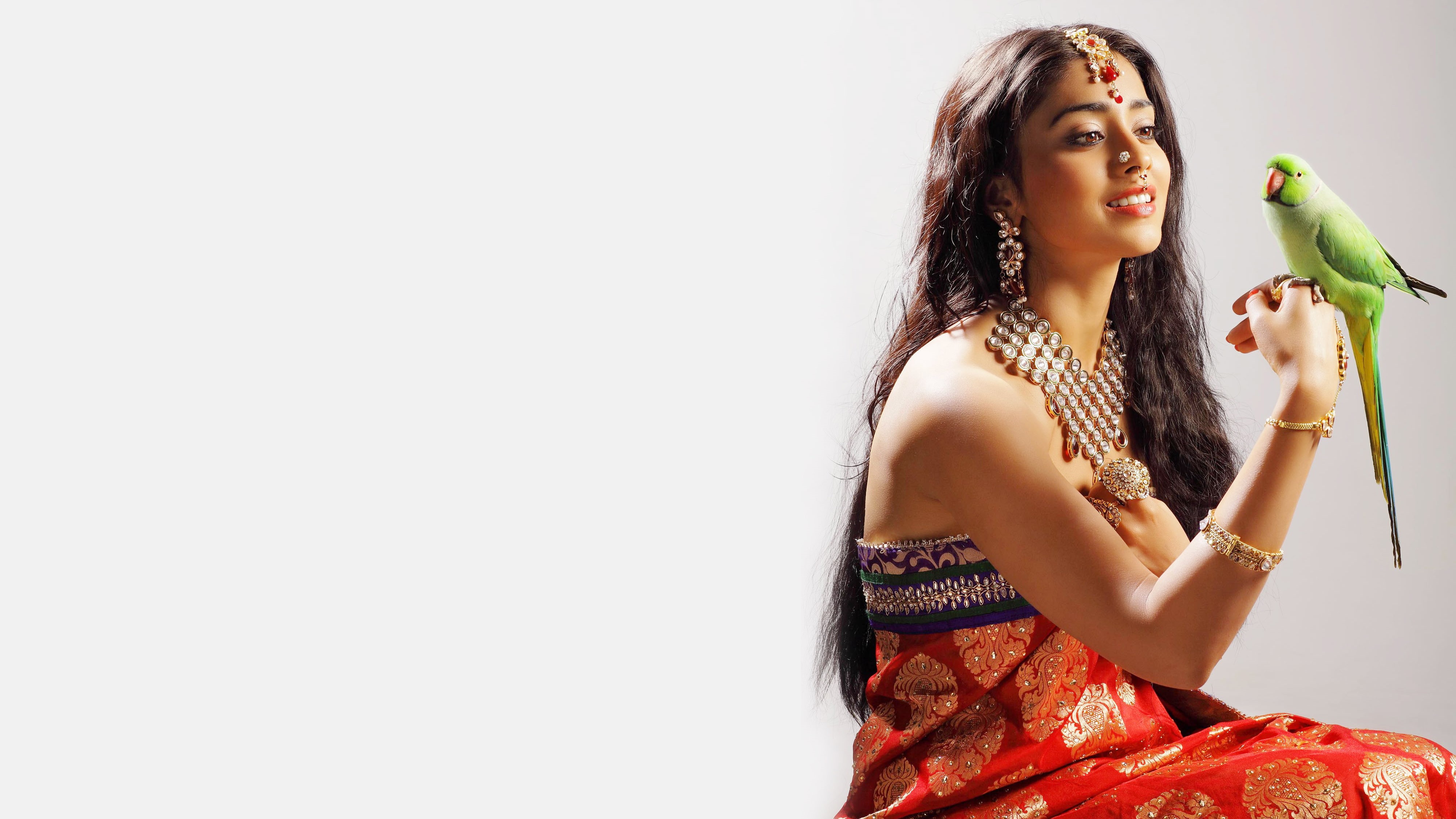 4K, 4K, Traditional, Parrot, Shriya Saran, Saree, HD Wallpaper