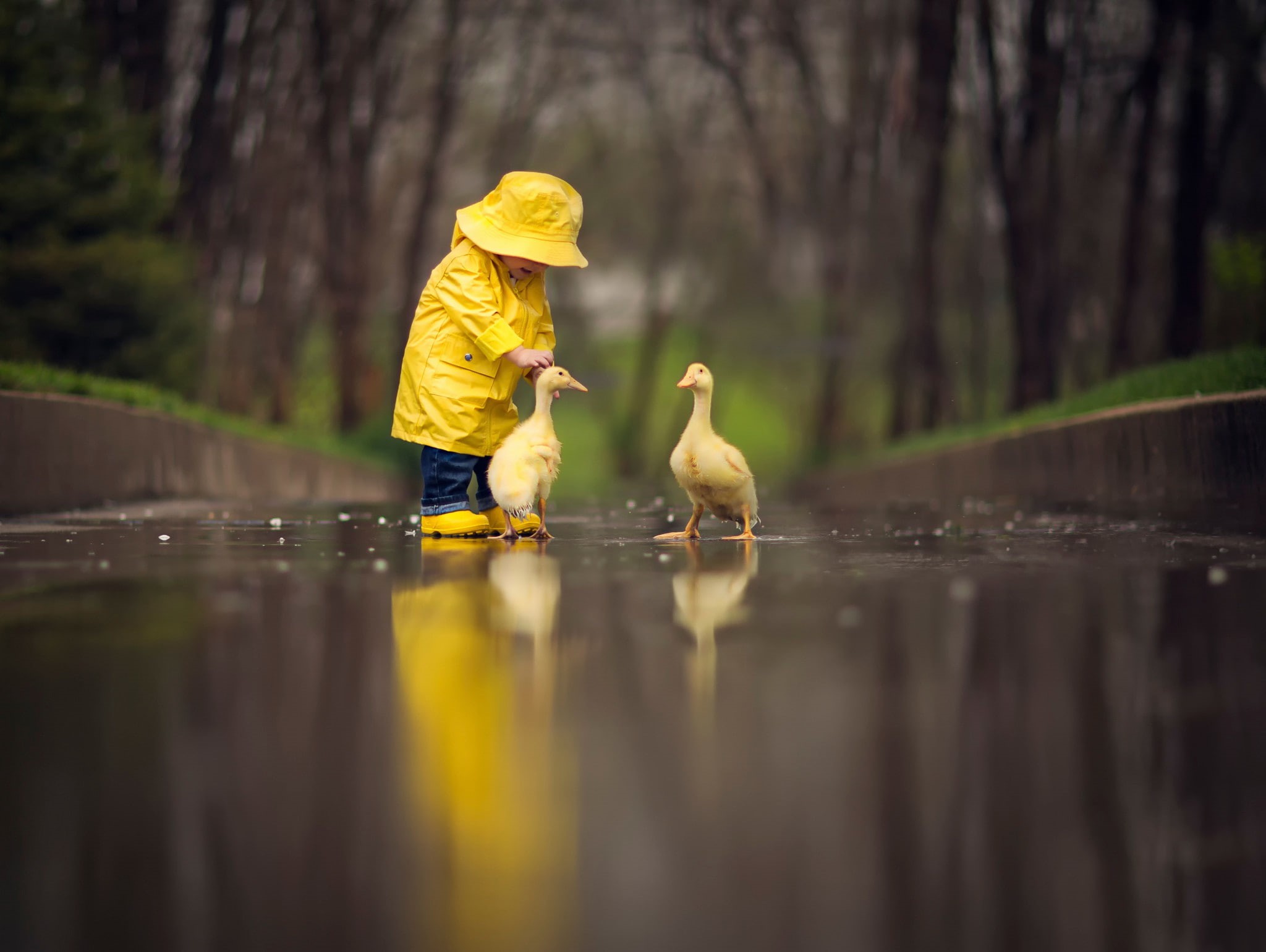 child, ducks, reflection, yellow cape, geese, hd, Bird, small, 1080P, HD Wallpaper