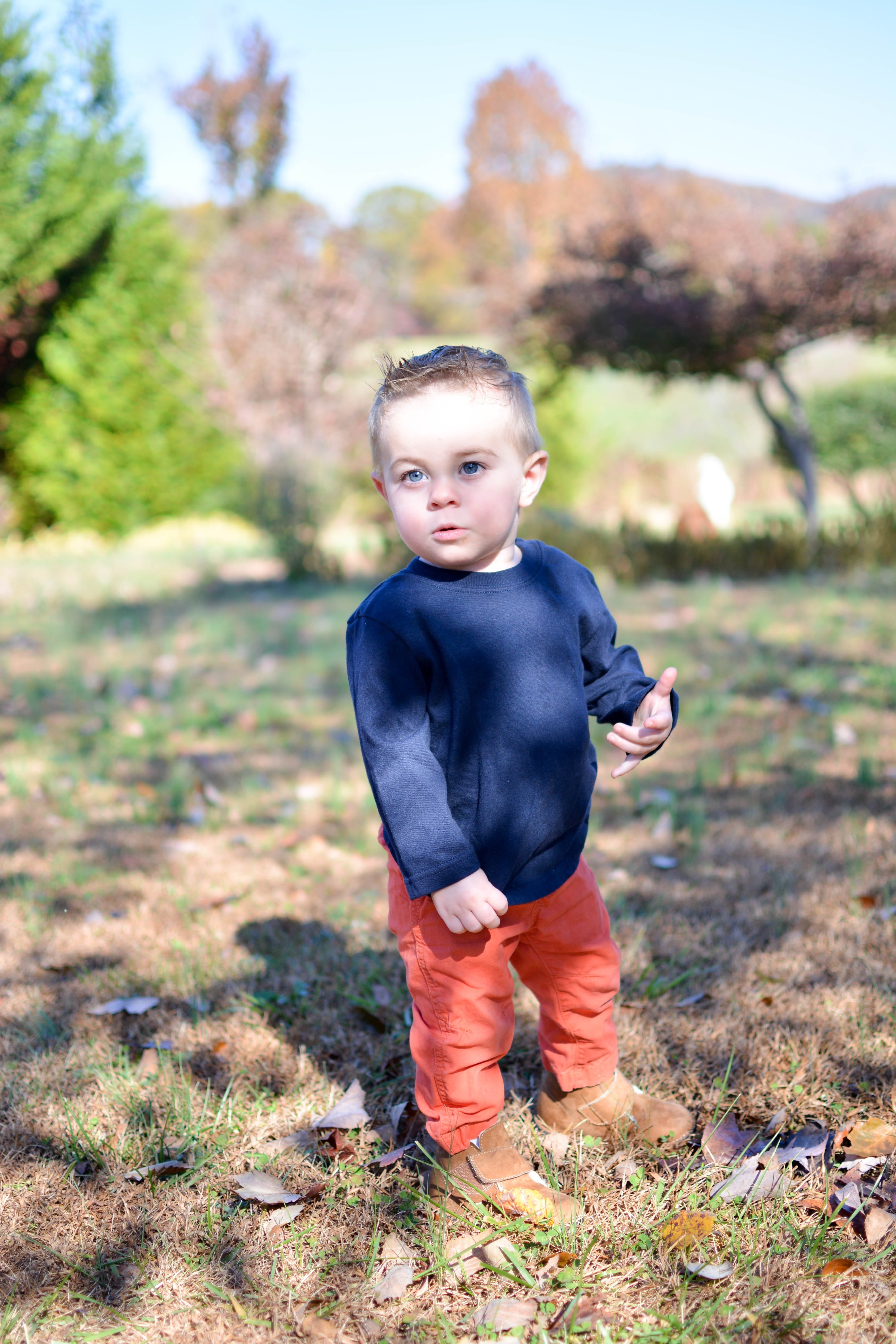 kid, innocence, funny, front view, joy, attractive, expression, infant, real people, focus on foreground, day, eyes, park, little, boy, one Person, model, Phone HD Wallpaper