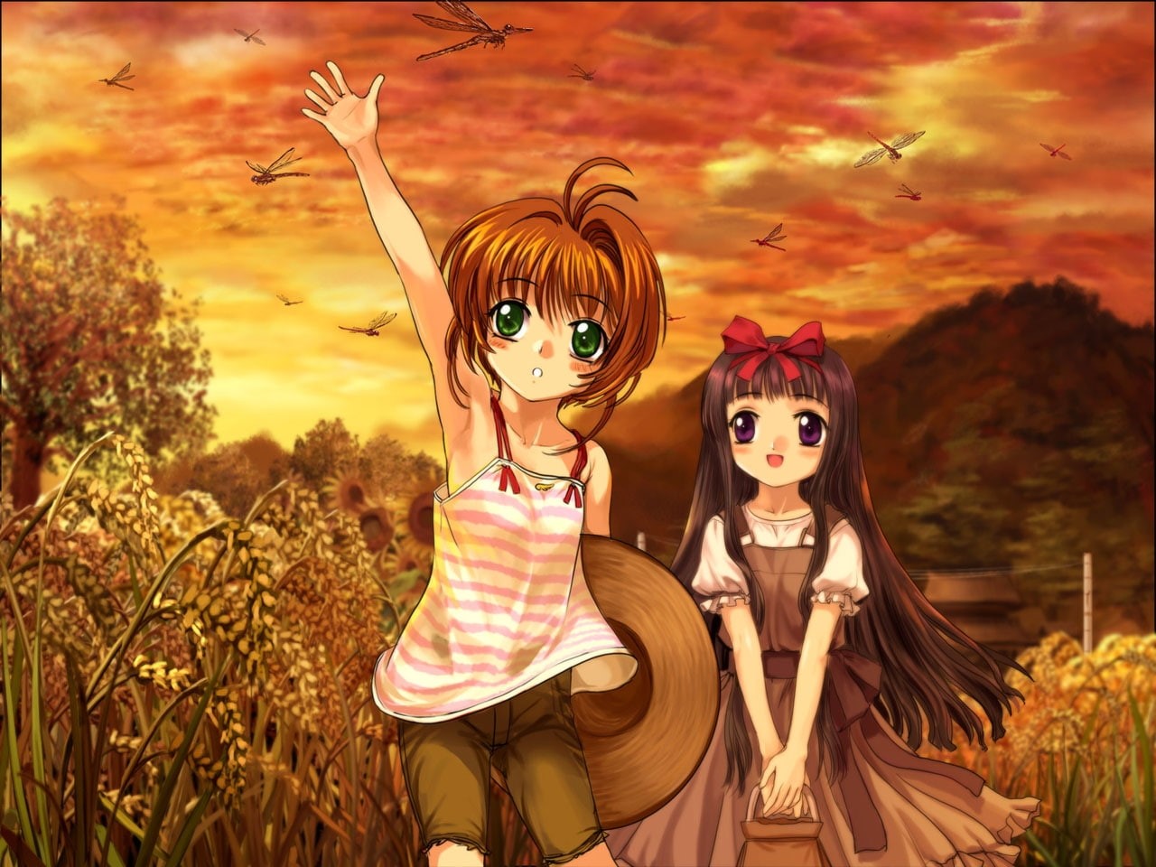 card, cardcaptor, 720P, tomoyo, captor, hd, art, sakura, anime, kinomoto, cardcaptor sakura, daidouji, x, Kinomoto Sakura, HD Wallpaper