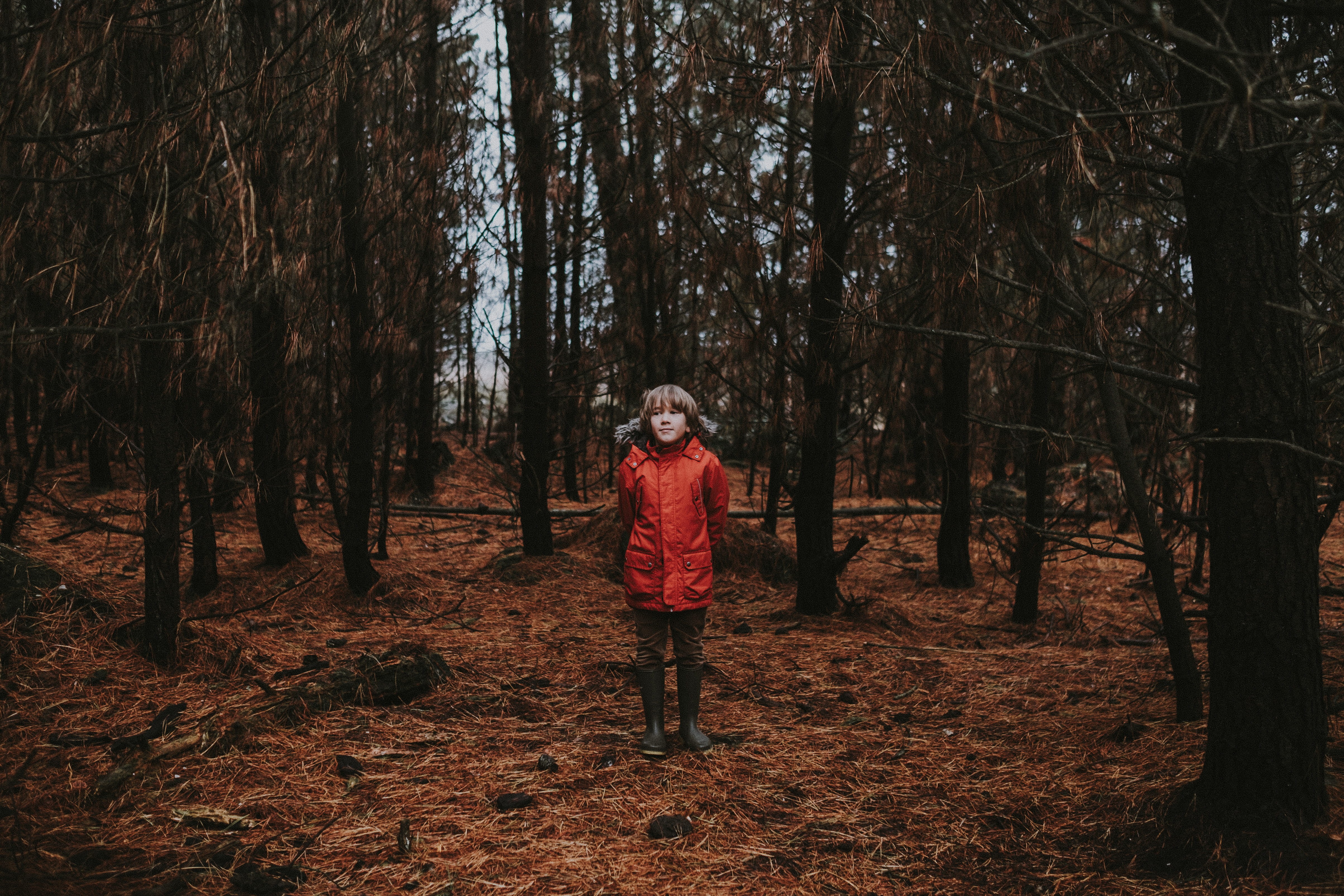 road, non-urban scene, hood, one person, plant, dirt road, grove, standing, forest, coat, walking, full length, apparel, human, tree, outdoors, leisure activity, HD Wallpaper
