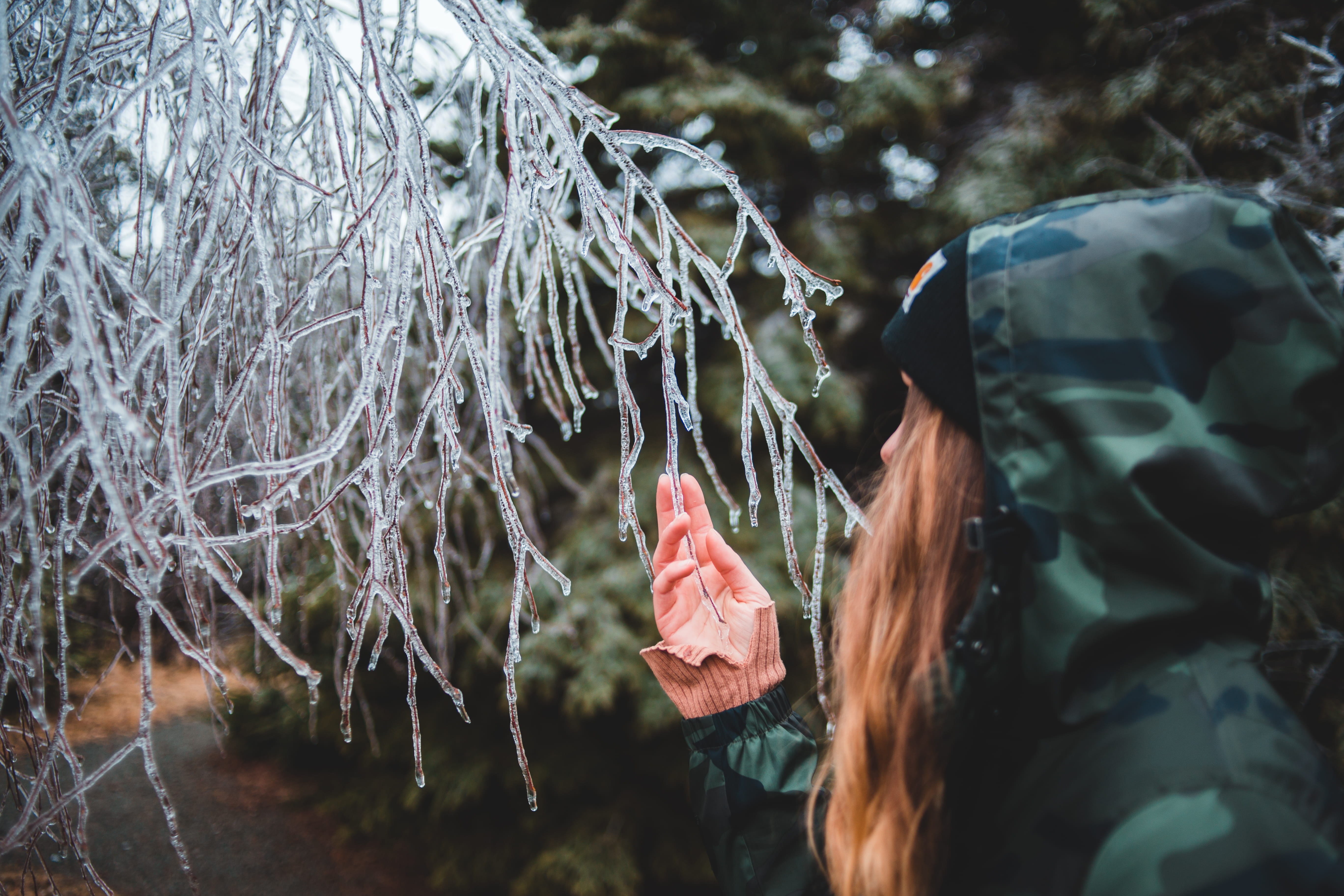 human body part, human hand, nature, women, white, jacket, finger, coat, land, cold temperature, selective focus, frost, hood, focus on foreground, overcoat, HD Wallpaper