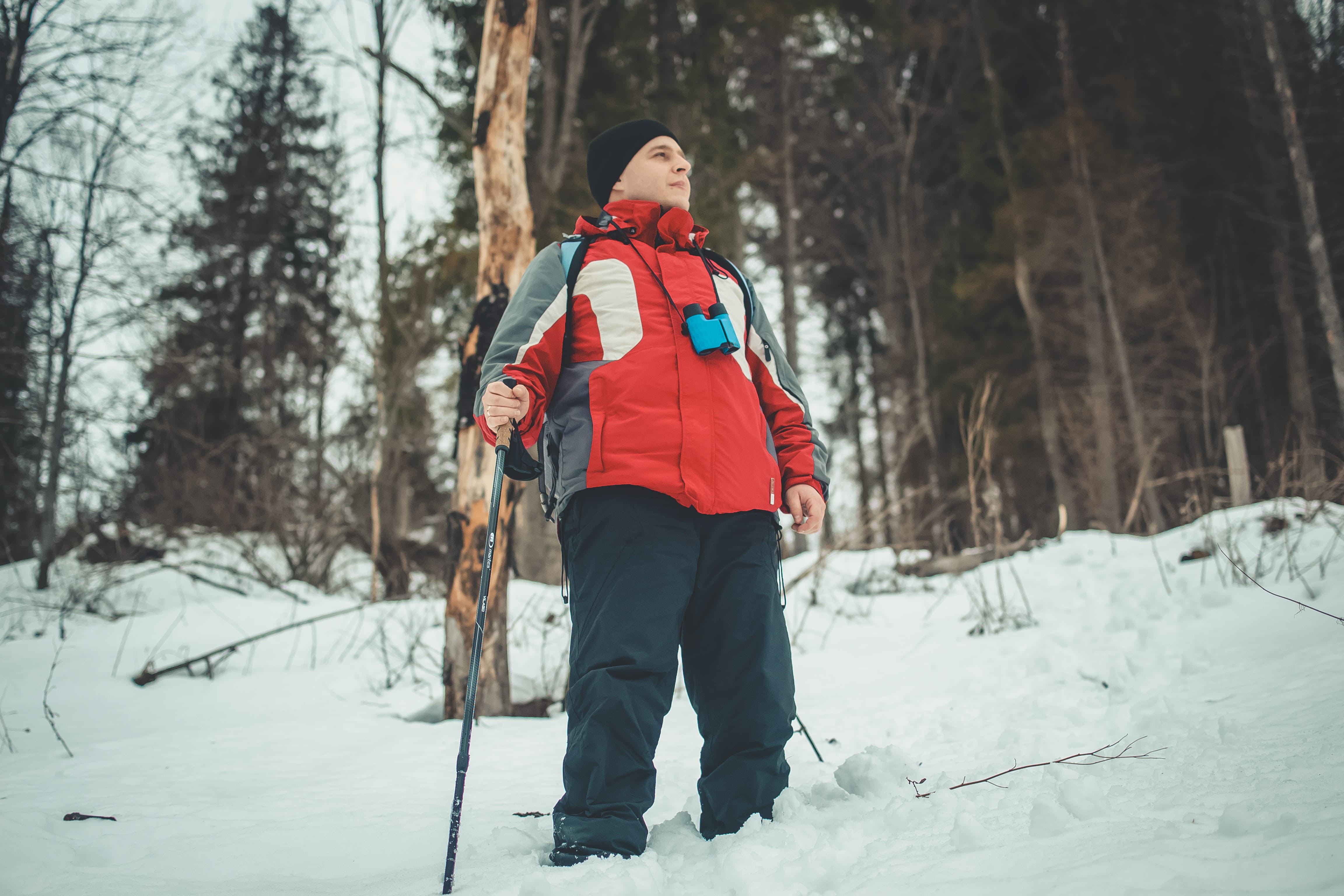 plant, coat, outdoors, near, clothing, man, sports, trees, snow, tree trunk, skiing, leisure activity, nature, human, covering, pants, one person, real people, HD Wallpaper