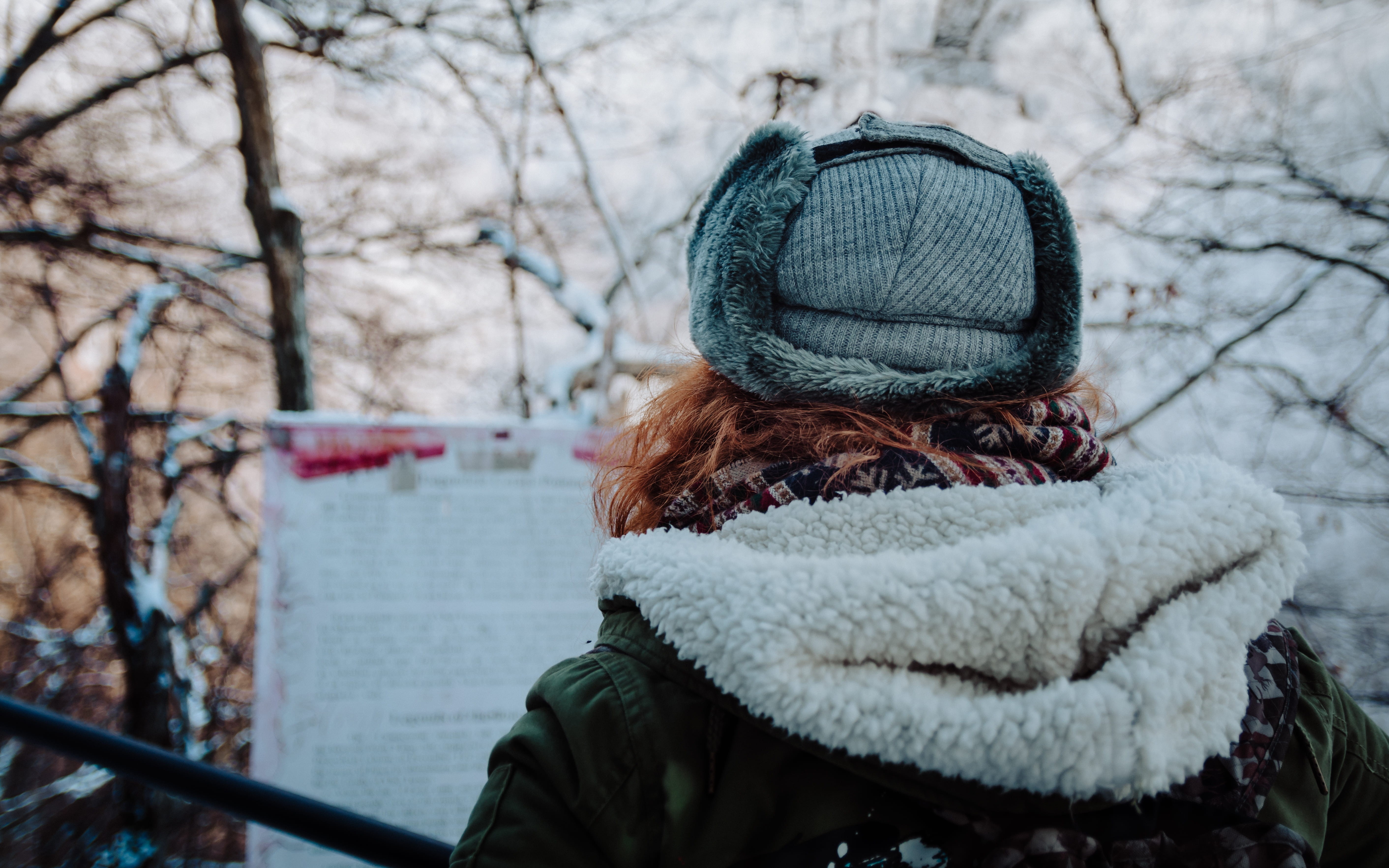 scarf, cap, sweatshirt, leisure activity, grey, winter, wearing, outdoors, cold temperature, hood - clothing, glove, real people, clothing, person, nature, HD Wallpaper
