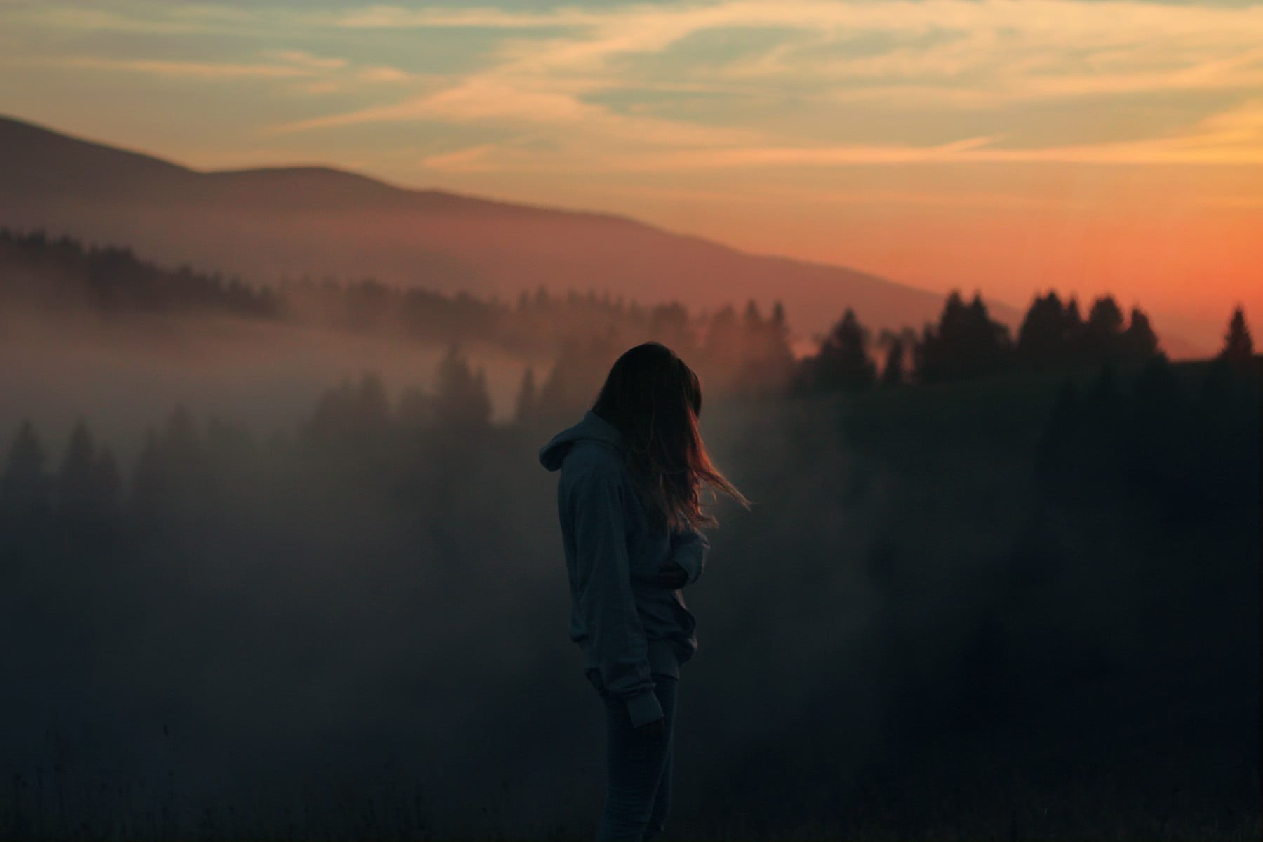 720P, sky, outdoors, beauty in nature, looking at view, fog, sunset, plant, women, mountain, landscape, hooded, mist, hazy, adult, jacket, hairstyle, rear view, HD Wallpaper