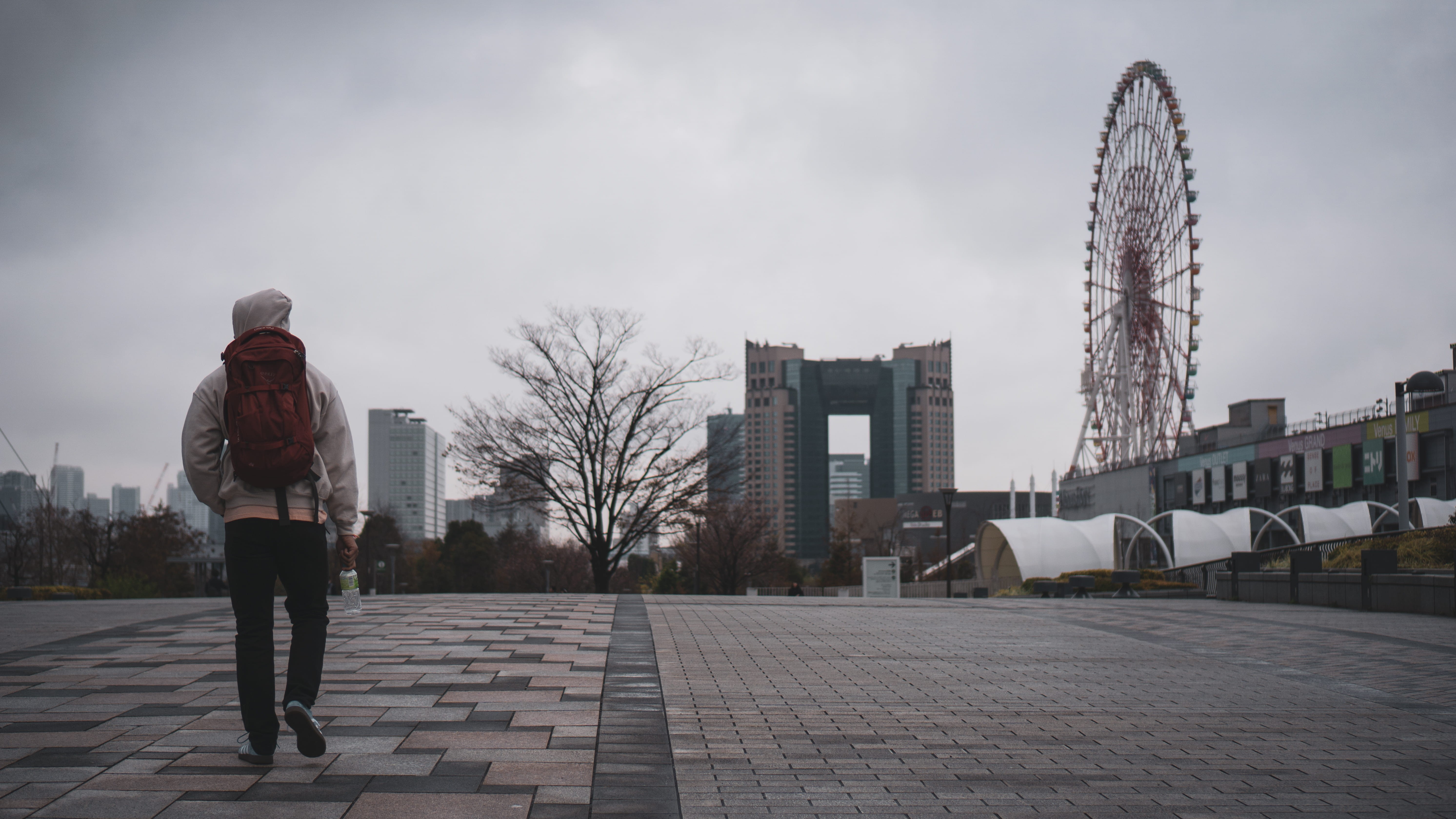 amusement park, adult, photos, apparel, city, bag, clothing, day, person, ferris wheel, footwear, skyscraper, urban life, lifestyles, outdoors, backpack, HD Wallpaper