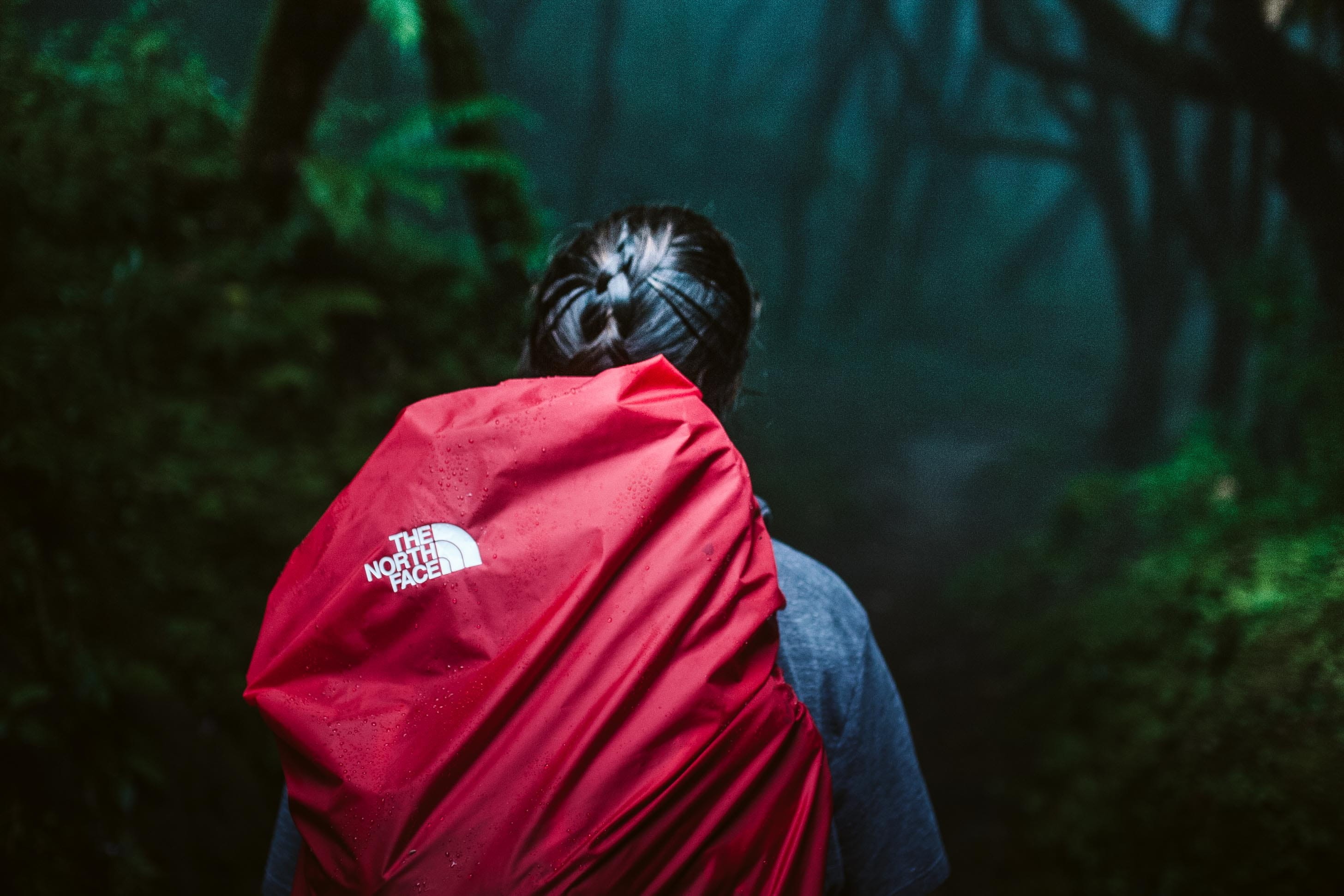 jacket, real people, leisure activity, sport, forest, land, hood - clothing, person, bag, long sleeve, portrait, hood, day, plant, hairstyle, rear view, HD Wallpaper