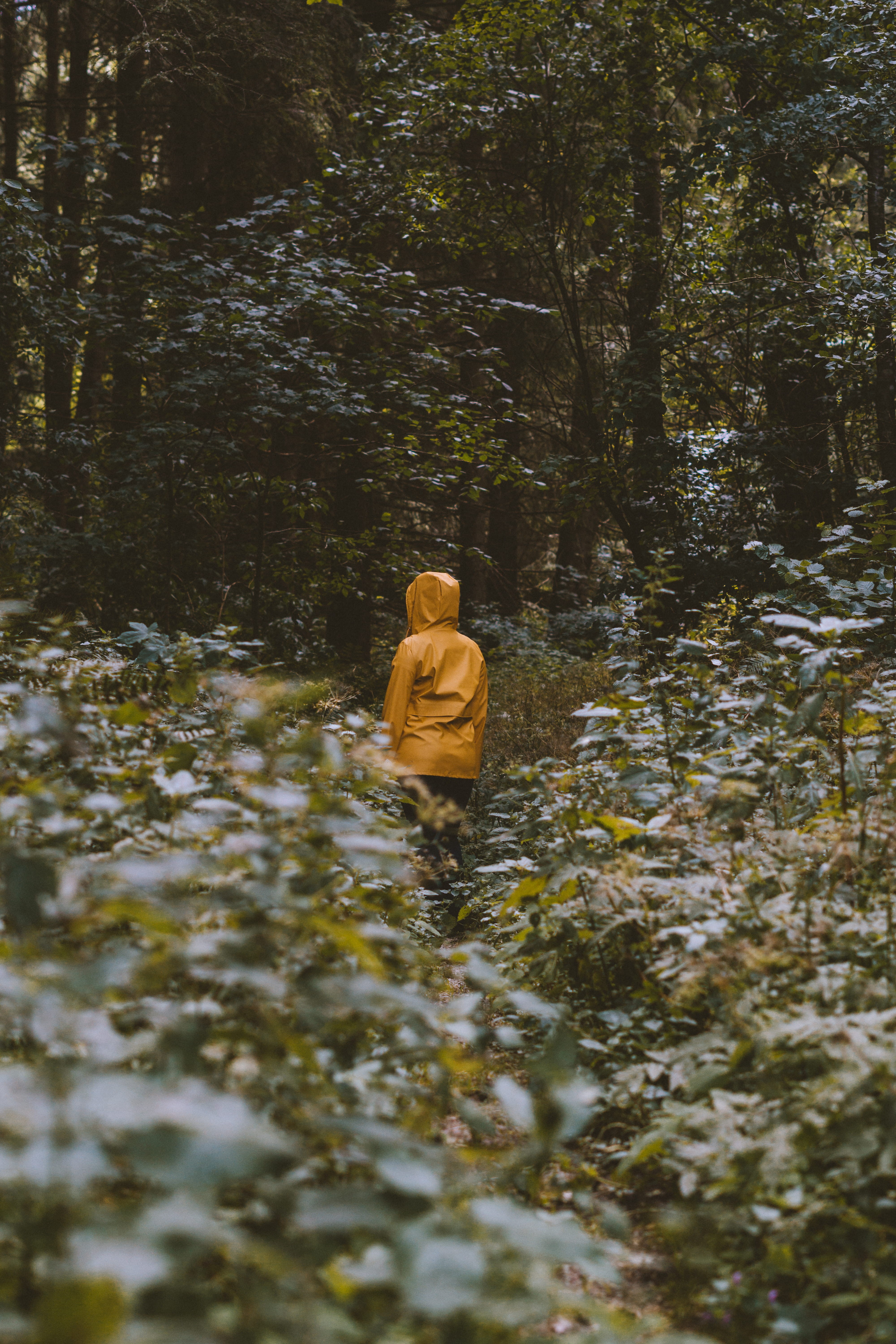 growth, water, person, lifestyles, clothing, brown, standing, 5K, nature, people, outdoors, real people, tranquility, raincoat, non-urban scene, human, Phone HD Wallpaper