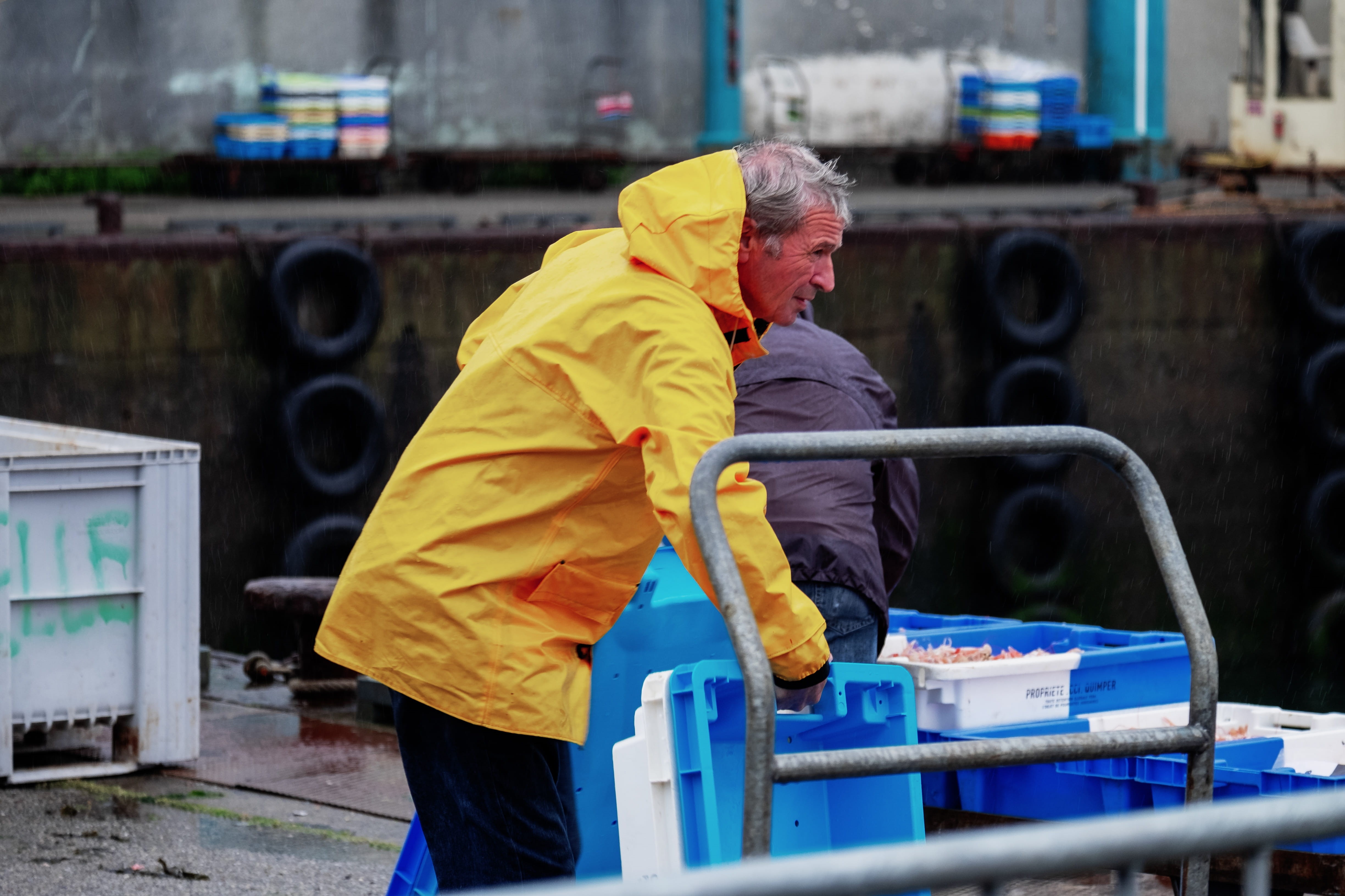 picking, occupation, one person, clothing, france, real people, protective workwear, white, building, guilvinec, crates, lifestyles, rain, person, males, HD Wallpaper