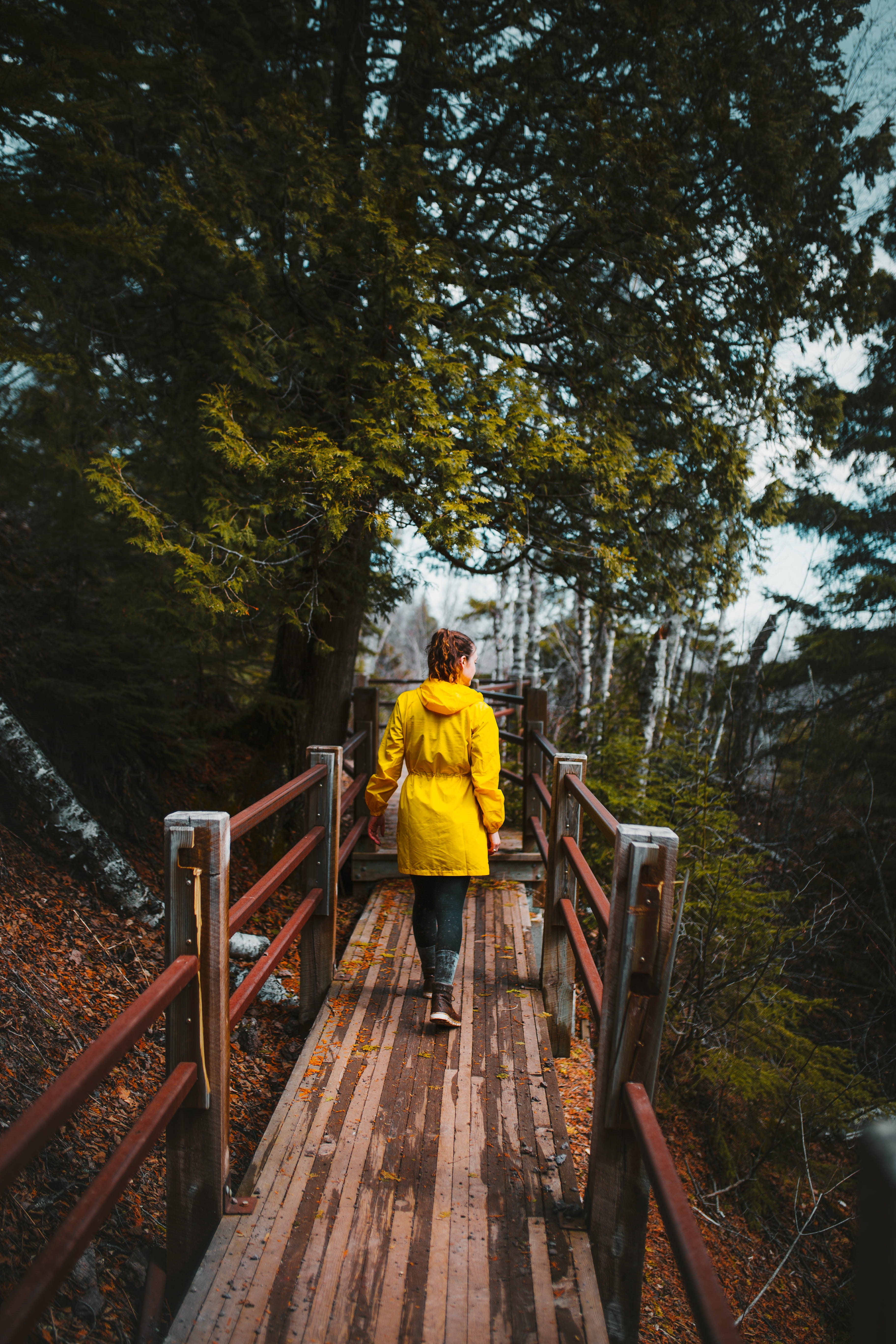 growth, full length, lifestyles, young adult, trail, tourist, wood - material, leisure activity, human, nature, person, jacket, 5K, outdoors, one person, Phone HD Wallpaper