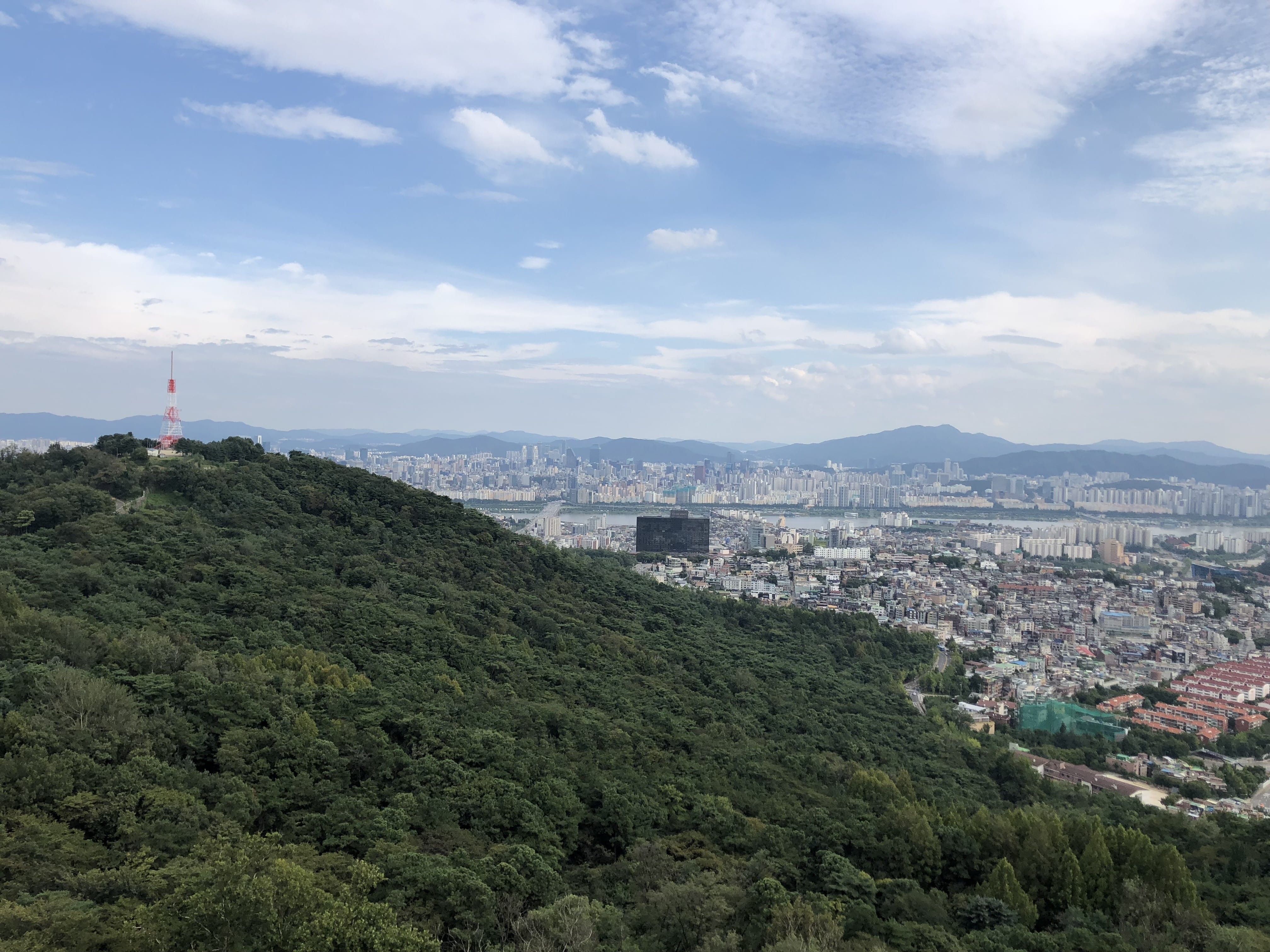 tree, cityscape, nature, namsan tower, growth, day, green color, architecture, plant, namsan, building, built structure, city, no people, 4K, residential district, HD Wallpaper