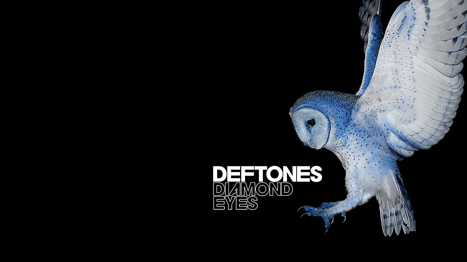 heavy, deftones, nu-metal, owl, hard, alternative, rock, 1080P, experimental, metal, HD Wallpaper