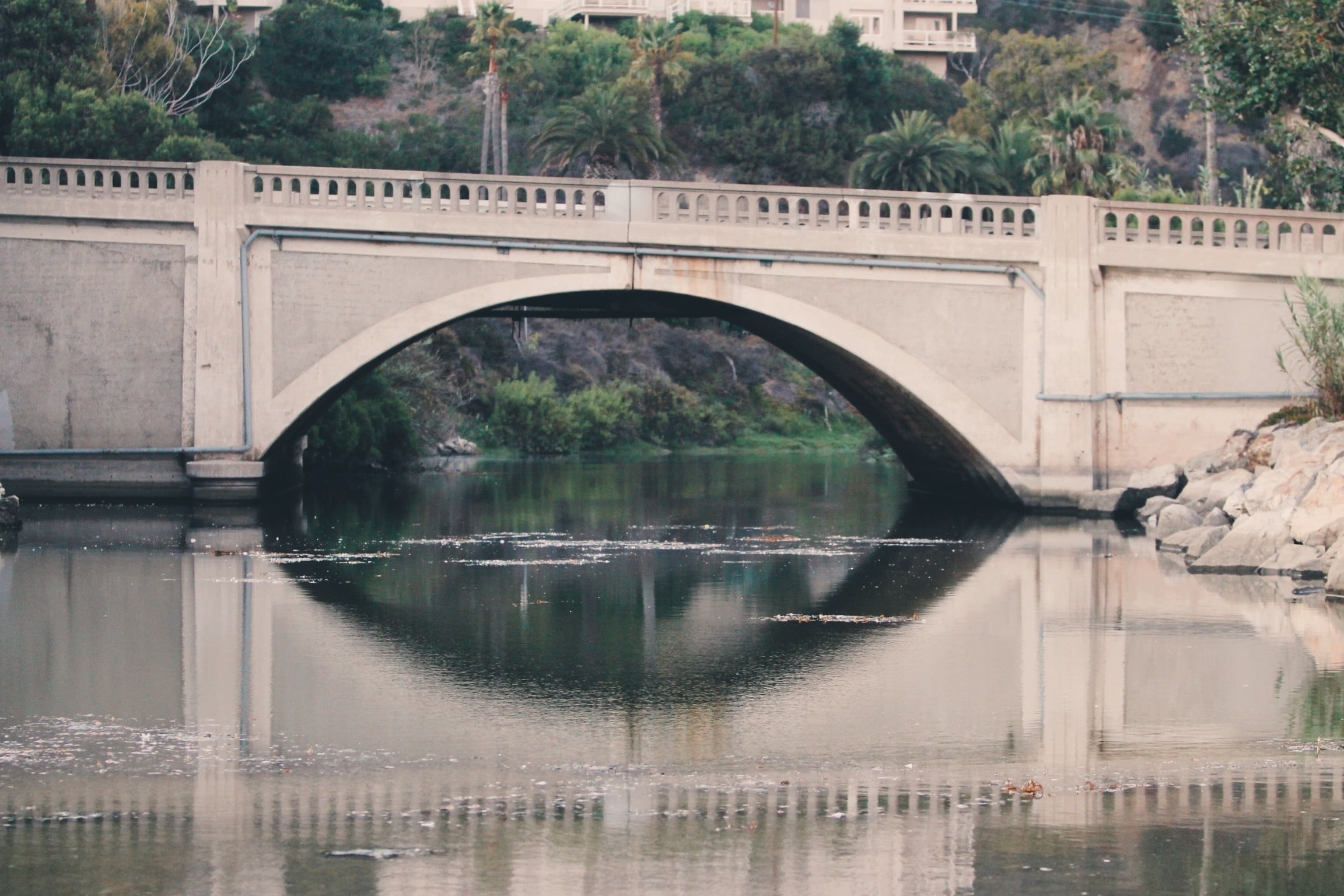 reflection, arch, transportation, leafed, river, architecture, nature, bridge - man made structure, photo, built structure, green, outdoors, day, waterfront, HD Wallpaper