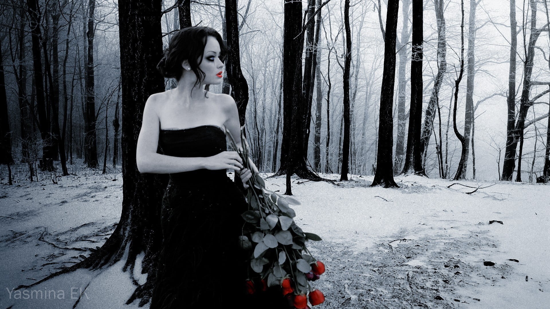 photo manipulation, real people, black, Alexis Bledel, actress, Photoshop, wearing, outdoors, tube, forest, beauty, woman, land, hairstyle, dress, beautiful woman, HD Wallpaper