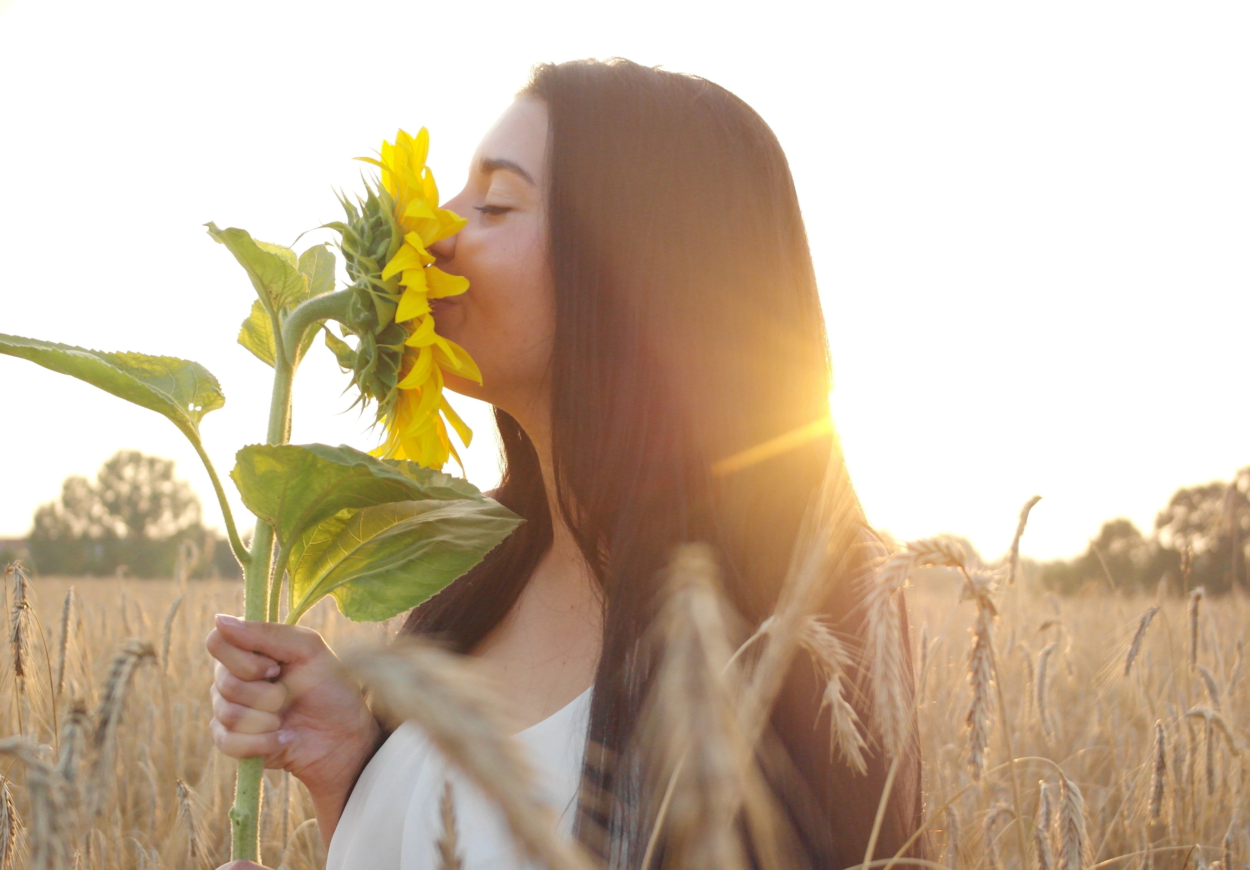 landscape, hairstyle, people, sunset, one woman only, summer, plant, one person, flowers, sunflower, white top, wheat field, only women, crop, beautiful woman, HD Wallpaper