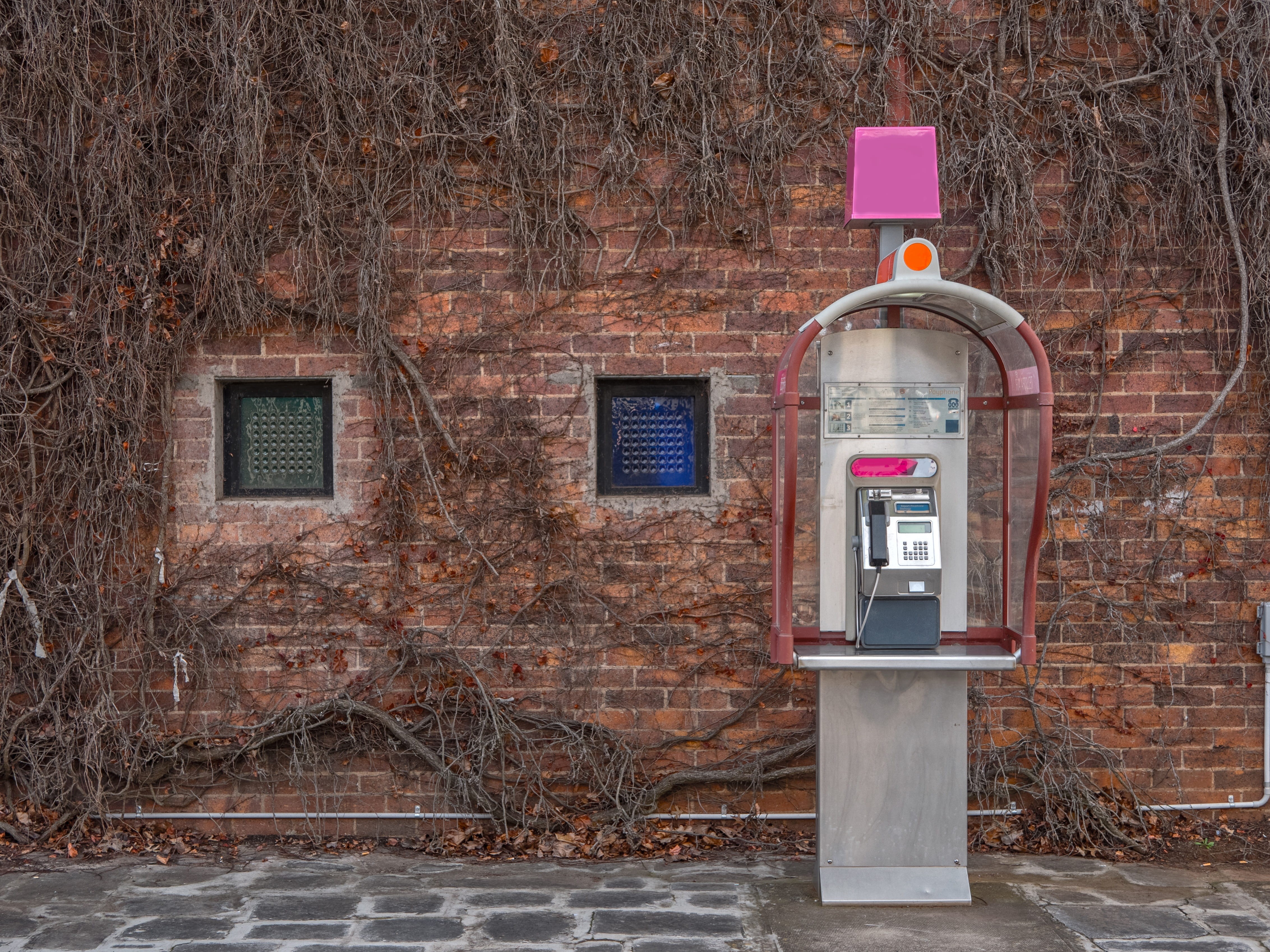 brown, information, urban, Payphone, wall, tree, bare tree, communication, Phone, telecommunication, day, telephone booth, telephone, building exterior, HD Wallpaper