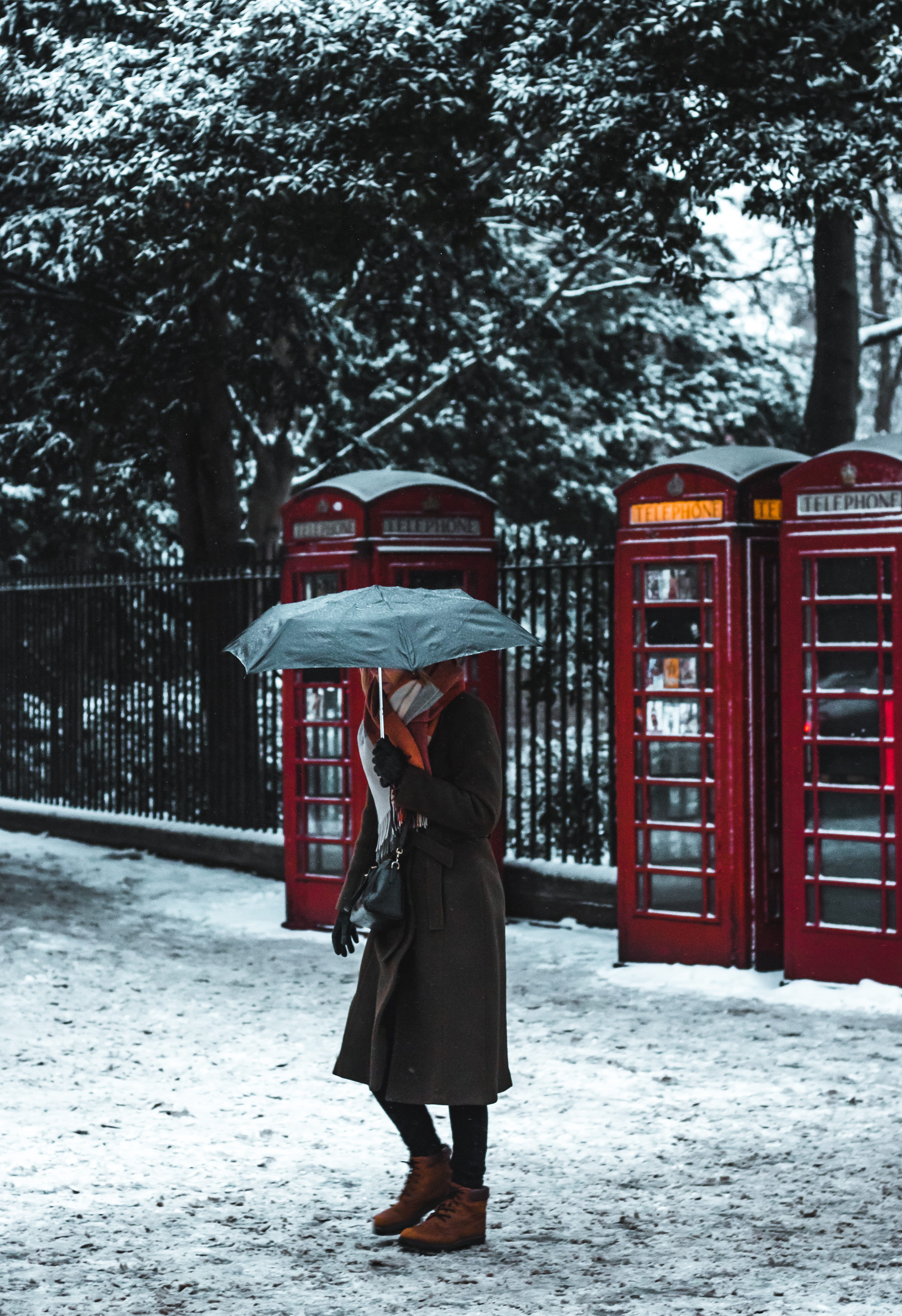 telephone box, women, real people, nature, umbrella, tree, rear view, standing, front, phone box, snow, one person, woman, cold temperature, near, winter, Phone HD Wallpaper