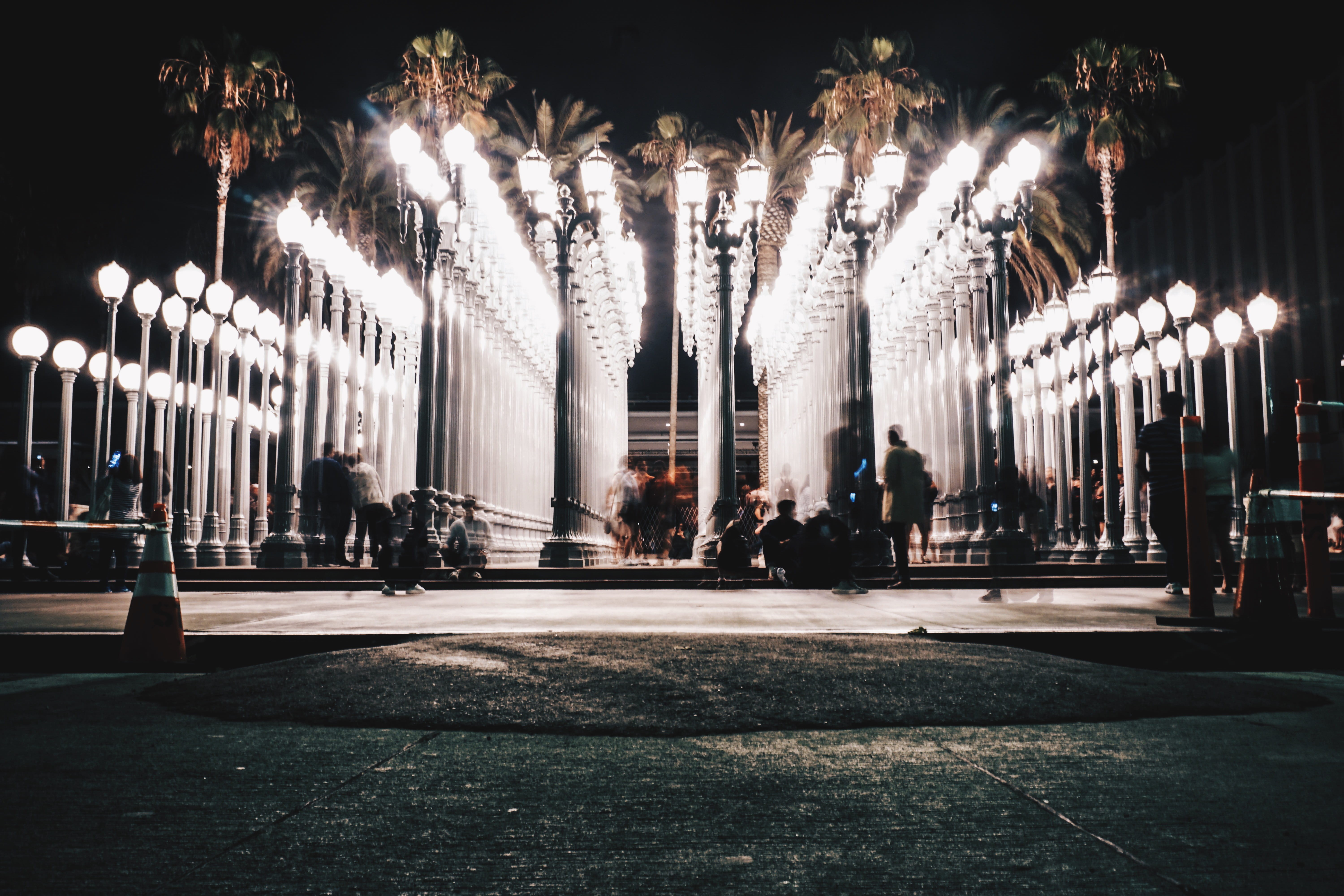 urban, lapse, city, person, night, light, building exterior, in a row, street light, incidental people, building, outdoors, lights, time, sitting, tree, HD Wallpaper