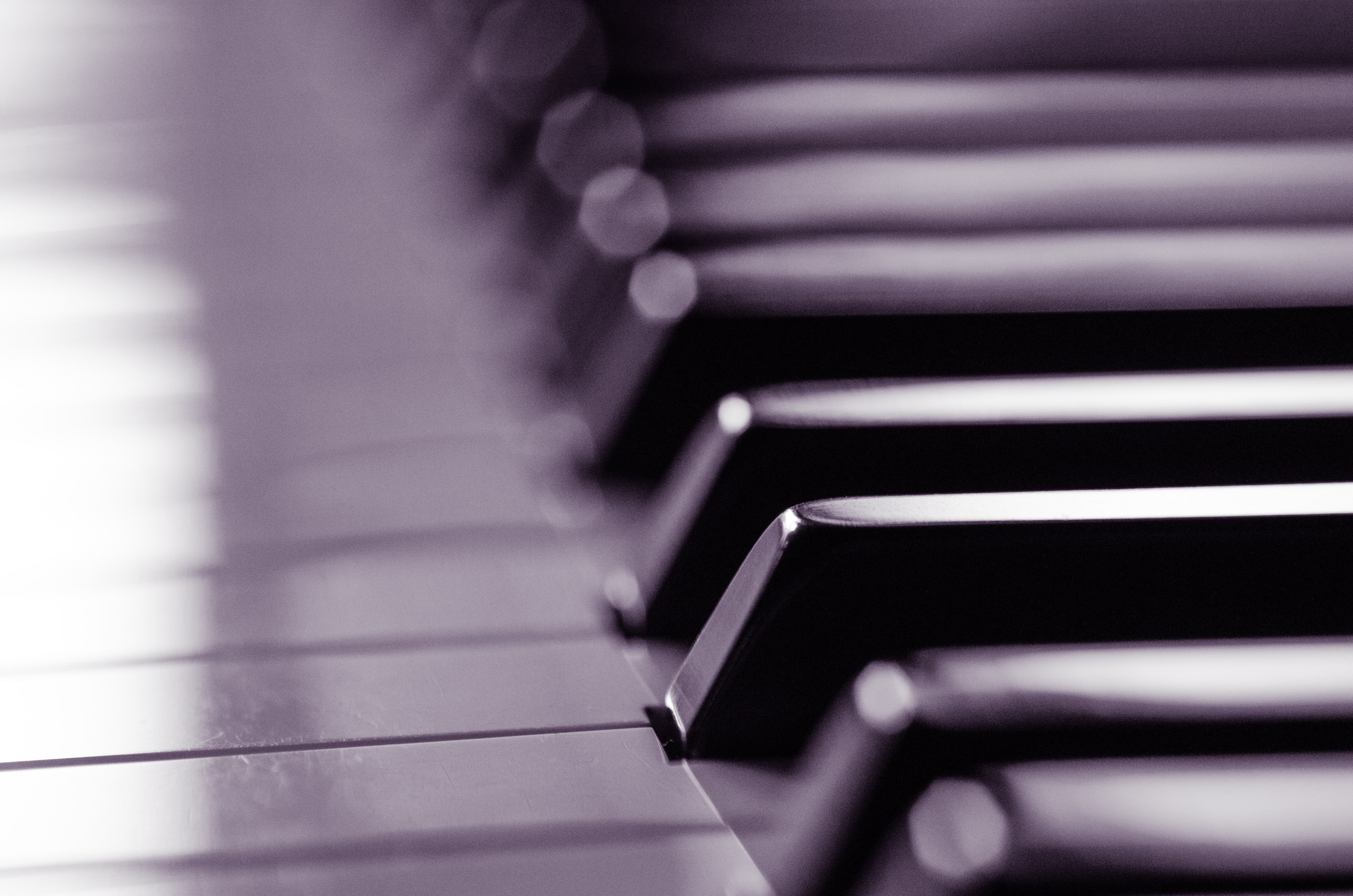 photography, music, selective focus, 4K, focus, BandW, selective, key, musical Instrument, Black and White, Close-Up, BW, classical Music, Contrast, Black  White, HD Wallpaper
