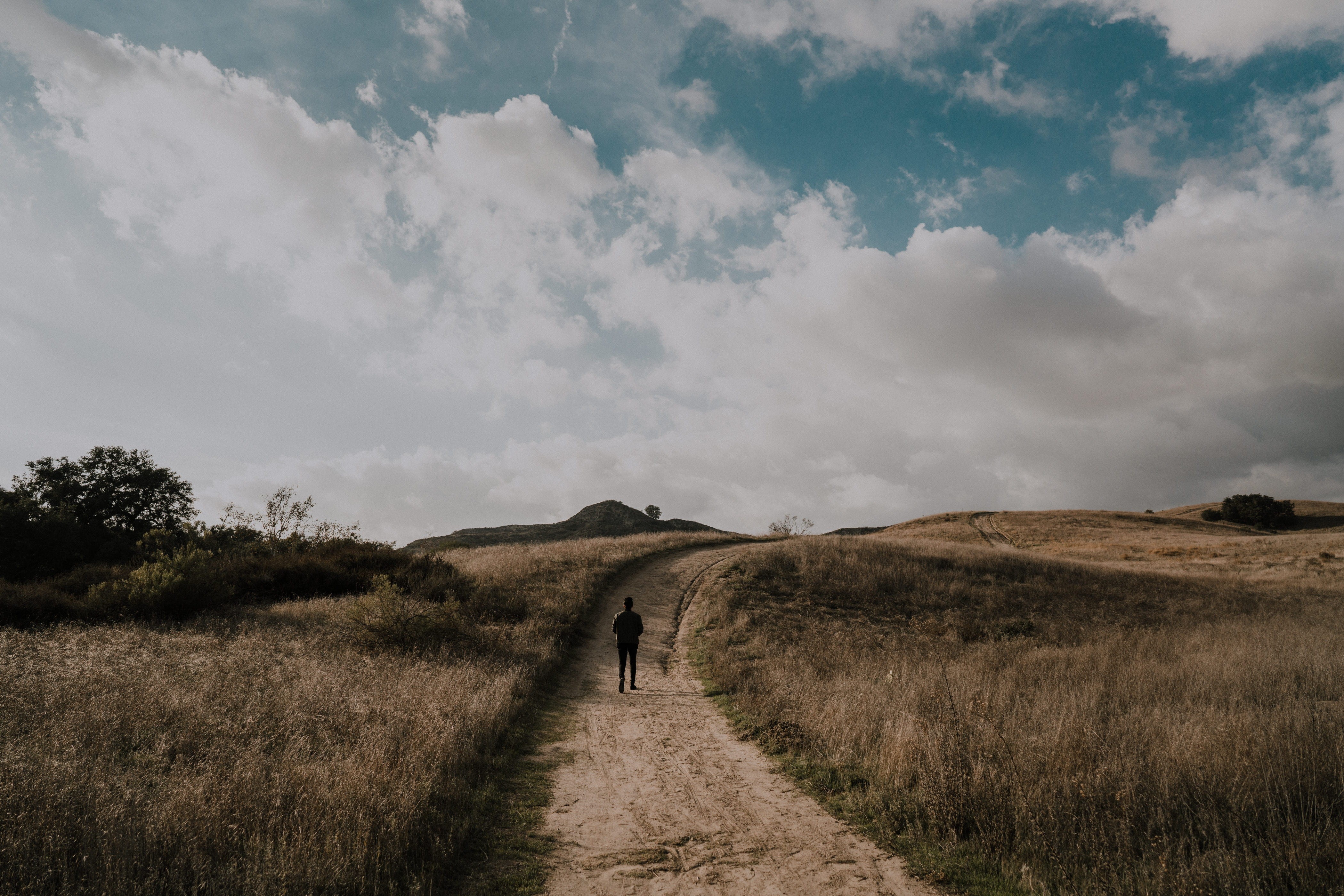 grasses, walking, tranquility, landscape, non-urban scene, walk, sky, man, pathway, scenics - nature, day, plant, environment, tranquil scene, leisure activity, HD Wallpaper