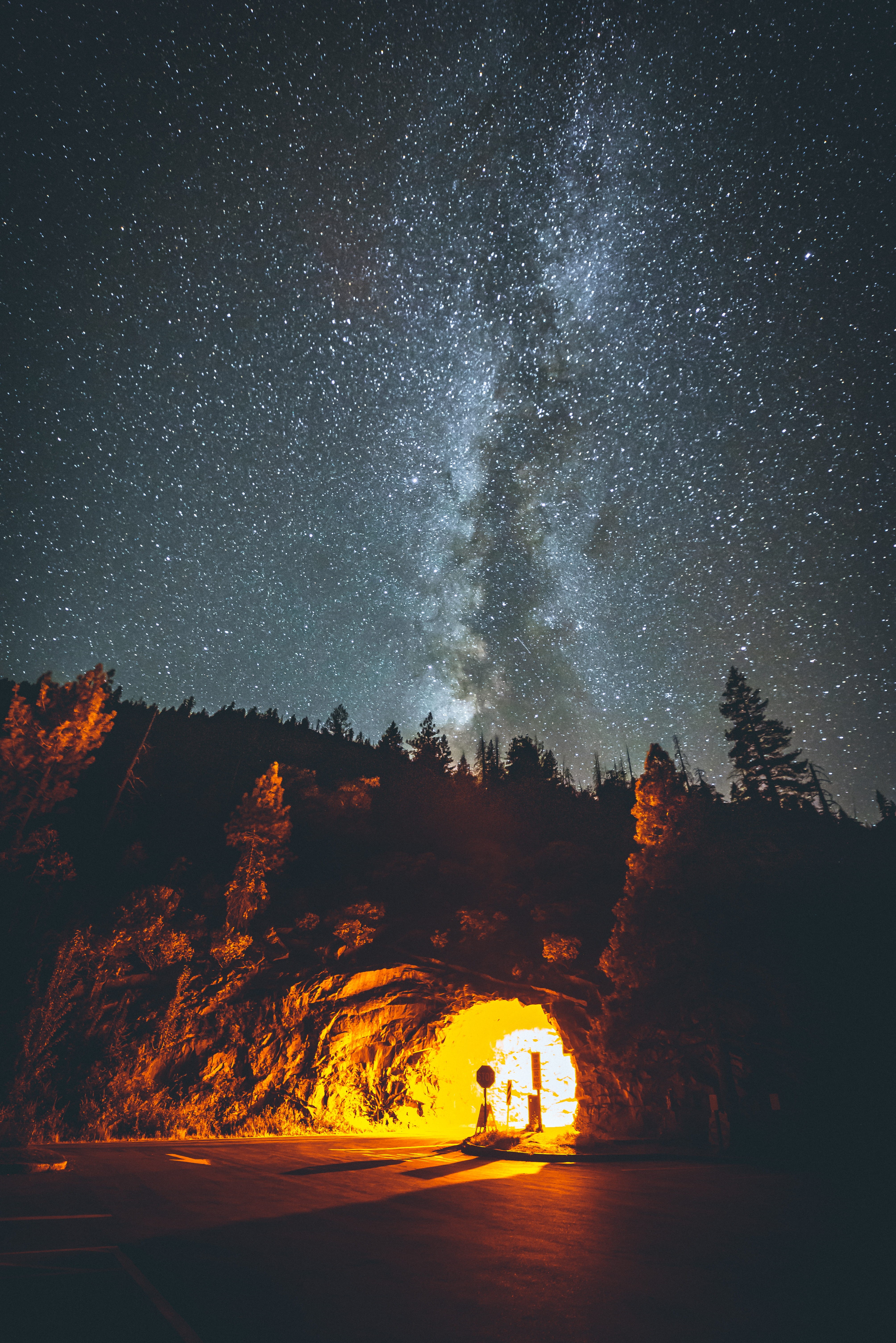 christmas, 5K, space, outdoors, night, astronomy, silhouette, californium, explore, adventure, wanderlust, nature, galaxy, tree, sky, science, milky Way, Phone HD Wallpaper