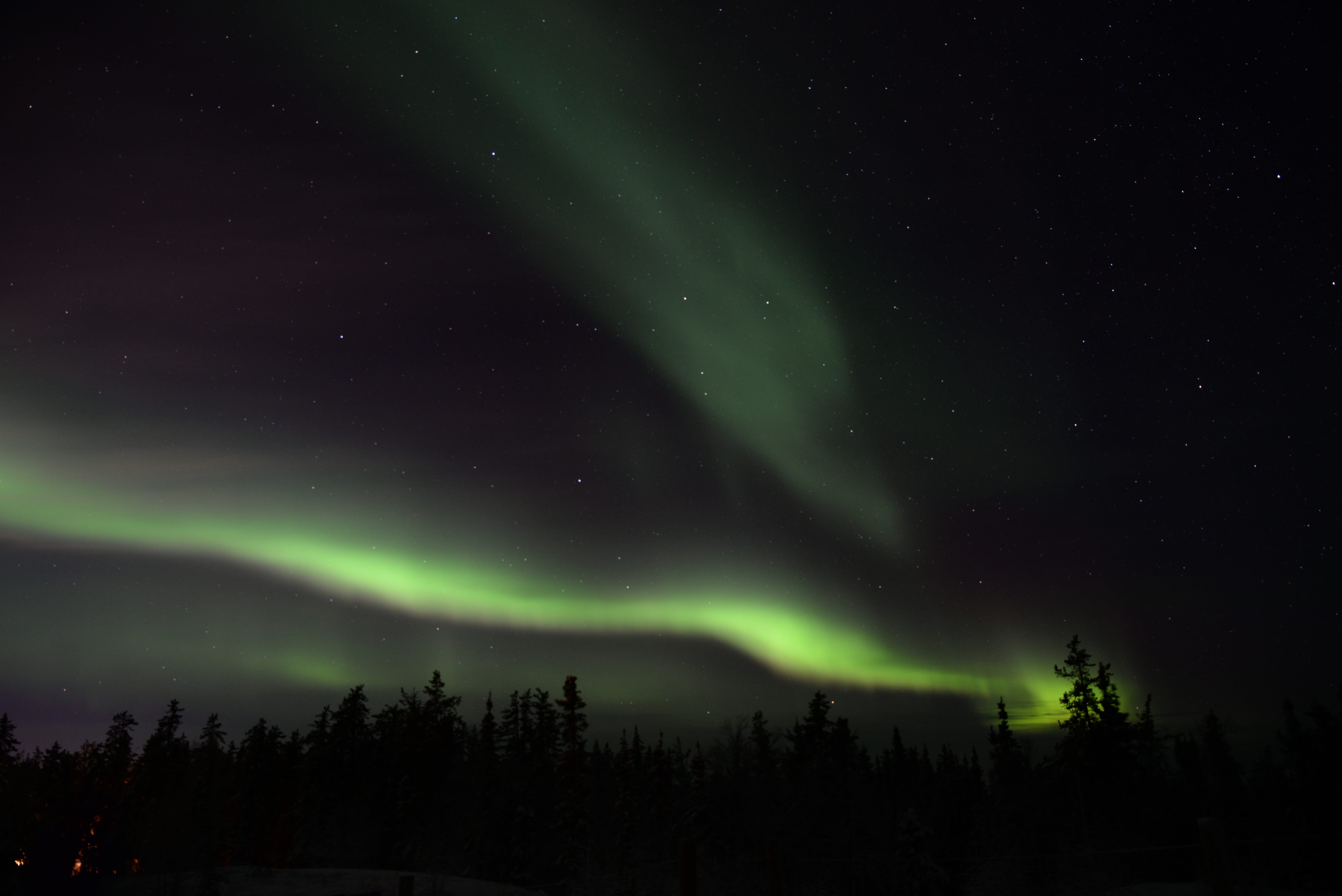 sky, landscape, aurora boreali, natural phenomenon, milky Way, nebula, tranquility, blue, aurora, environment, plant, nature, aurora Borealis, silhouette, HD Wallpaper