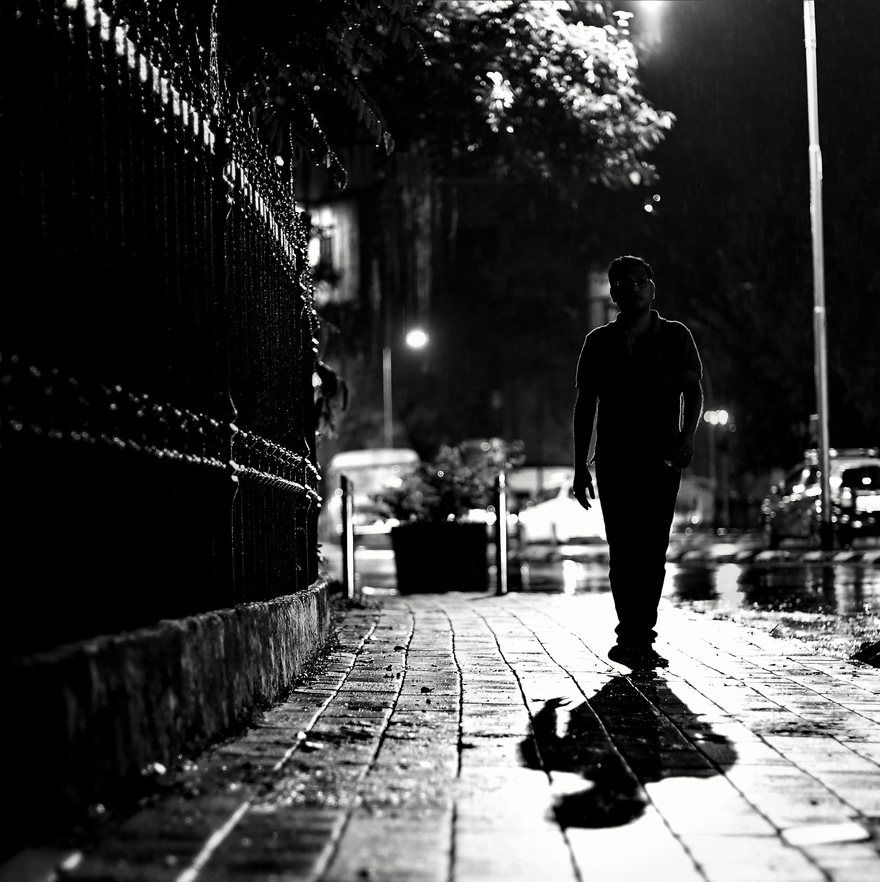 wet, full length, road, movement, female, lifestyles, umbrella, tree, paving stone, light, water, outdoor, street, white, rain, pedestrian, motion, young, Phone HD Wallpaper