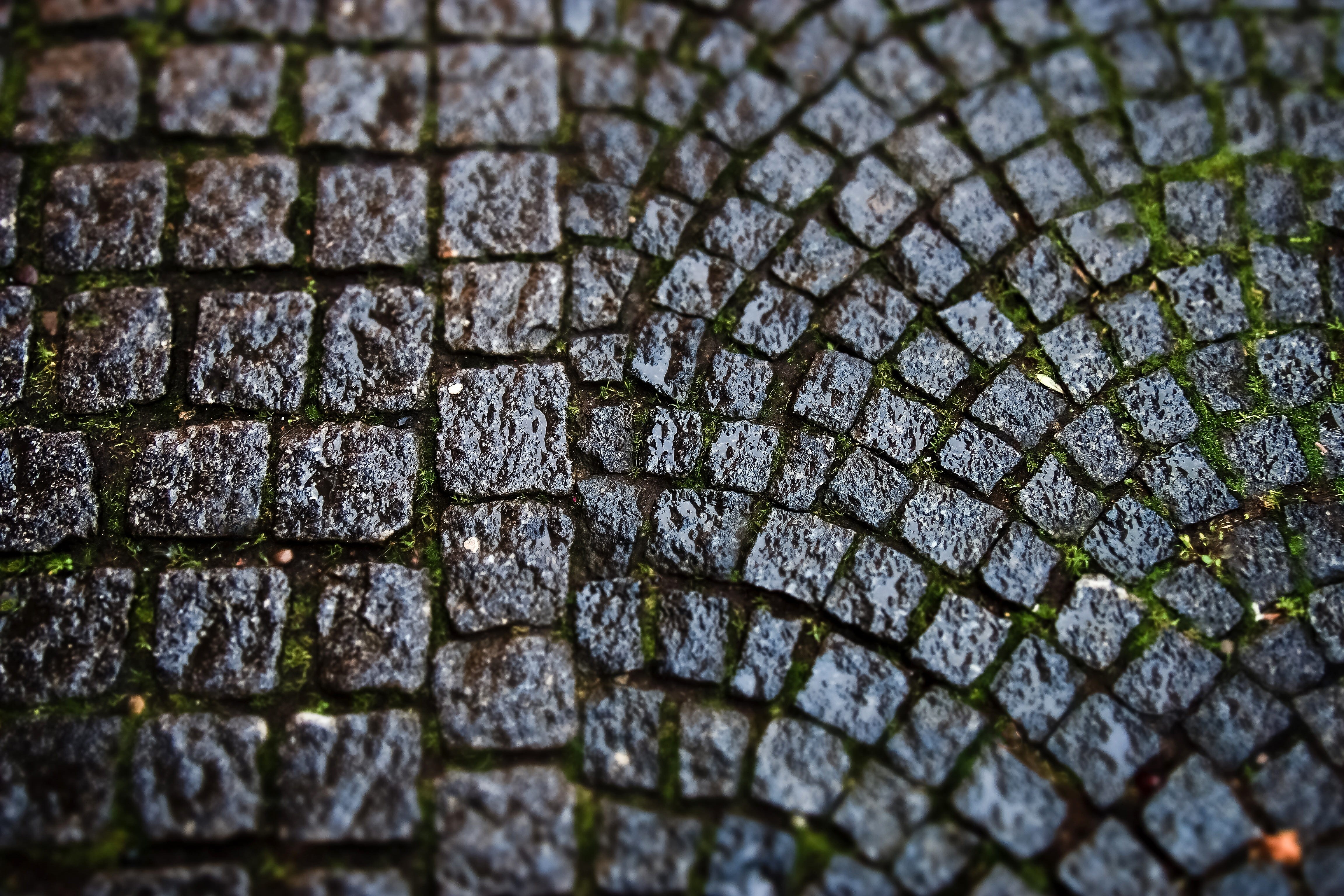 city, background, flooring, close-up, selective focus, wheel, backgrounds, textured, surface, paved, stones, outdoors, day, old, water, sidewalk, raindrop, HD Wallpaper