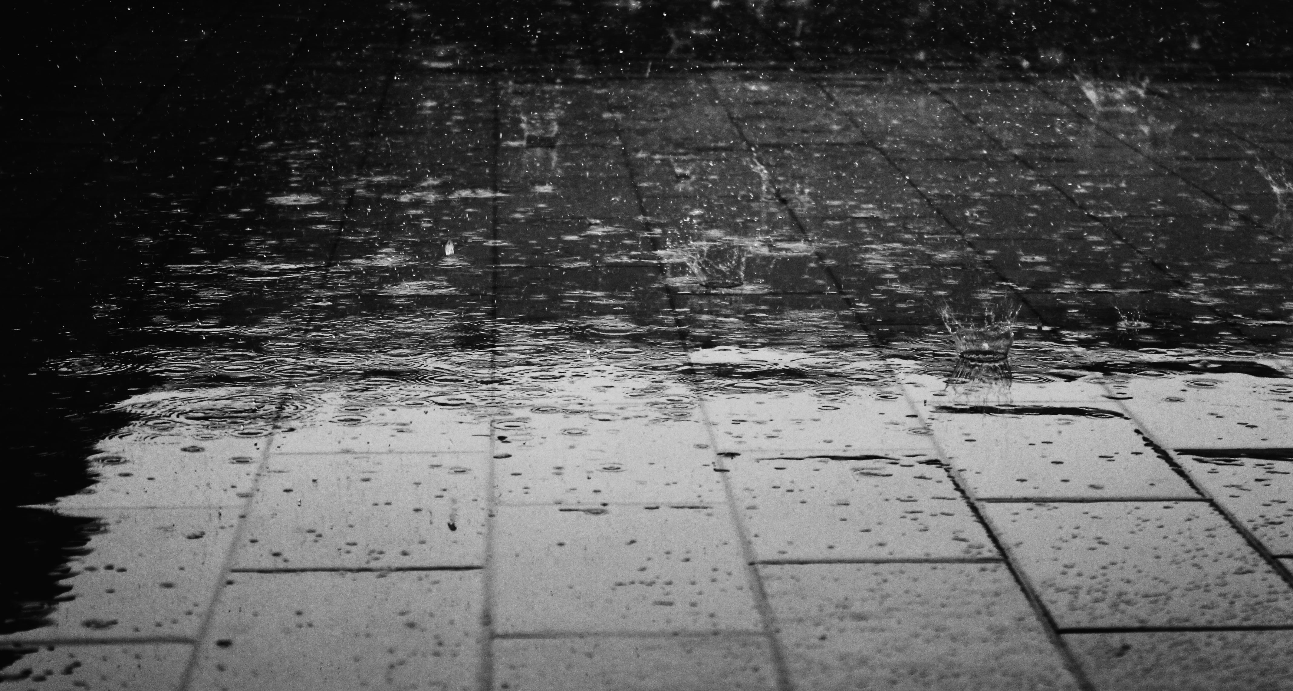 pavement, drop, footpath, outdoors, surface level, raindrop, city, paving stone, day, water, floor, drops, reflection, rain, 4K, rainy season, gray, concrete, HD Wallpaper