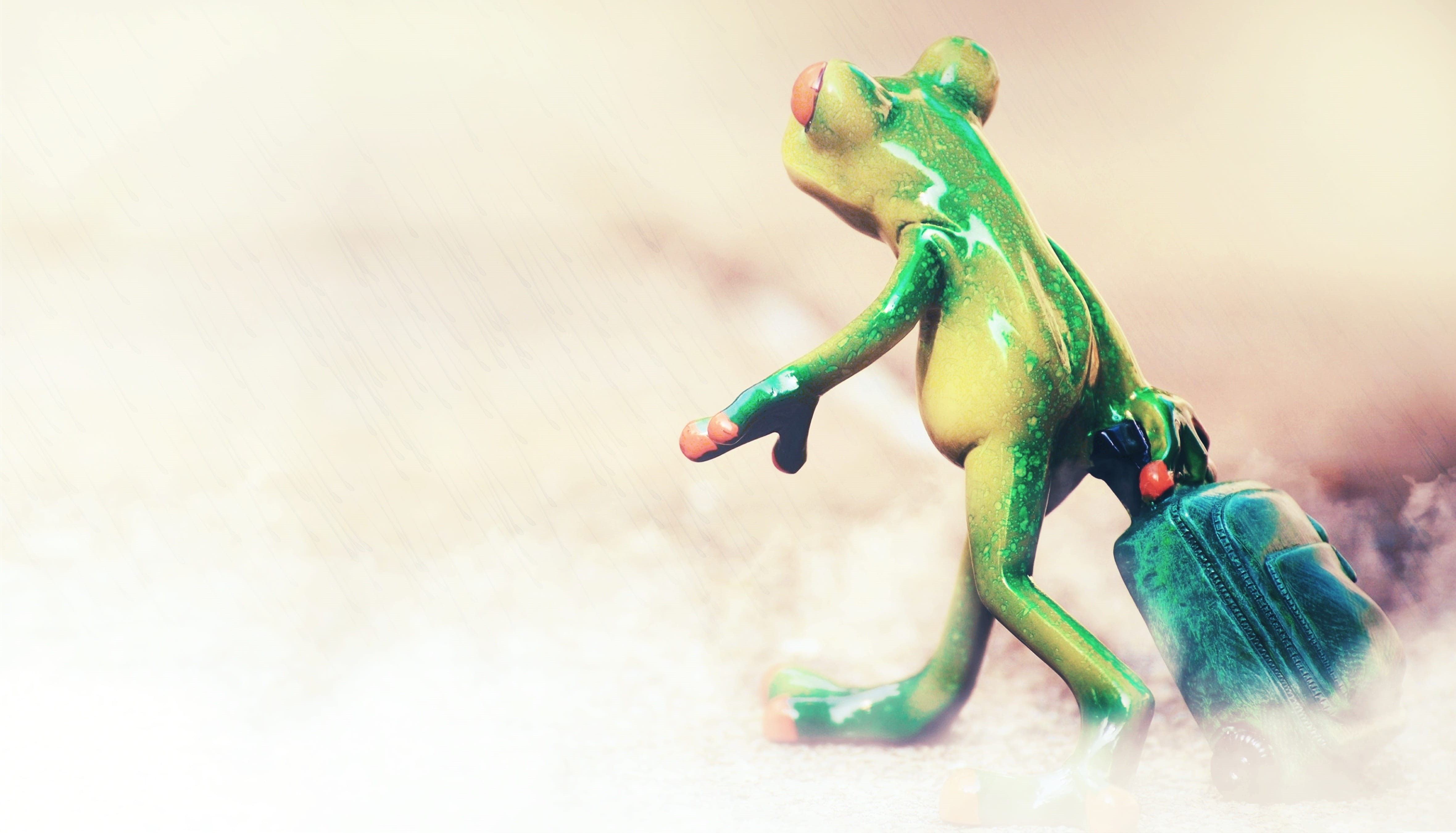 figurine, rain, nature, representation, holiday, trip, animal representation, weather, one animal, art and craft, attractive, season, banner, food, animal wildlife, HD Wallpaper
