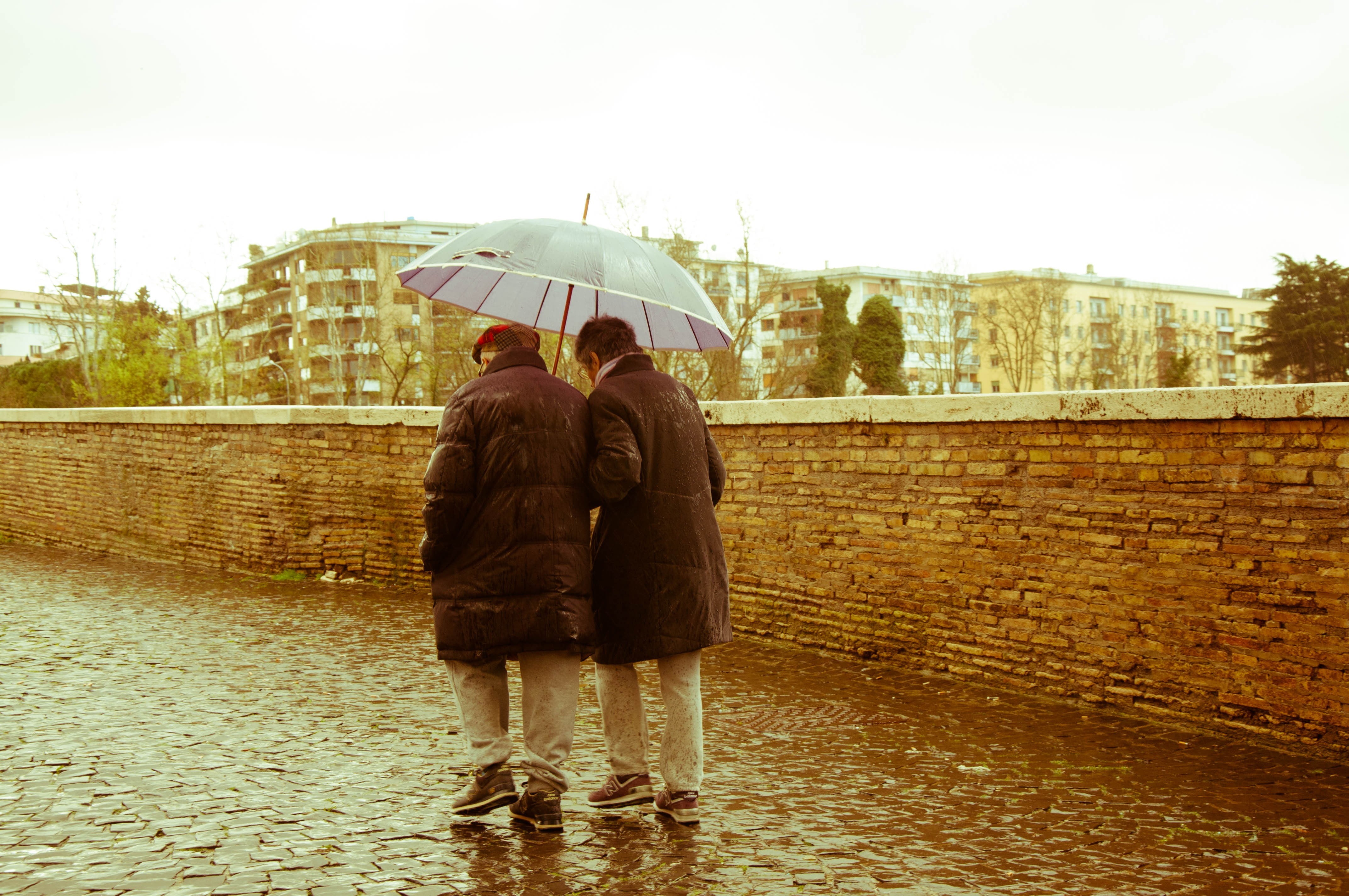 nature, two People, rain, urban Scene, security, old people, architecture, women, outdoors, day, water, walking, people, females, holding, person, togetherness, HD Wallpaper