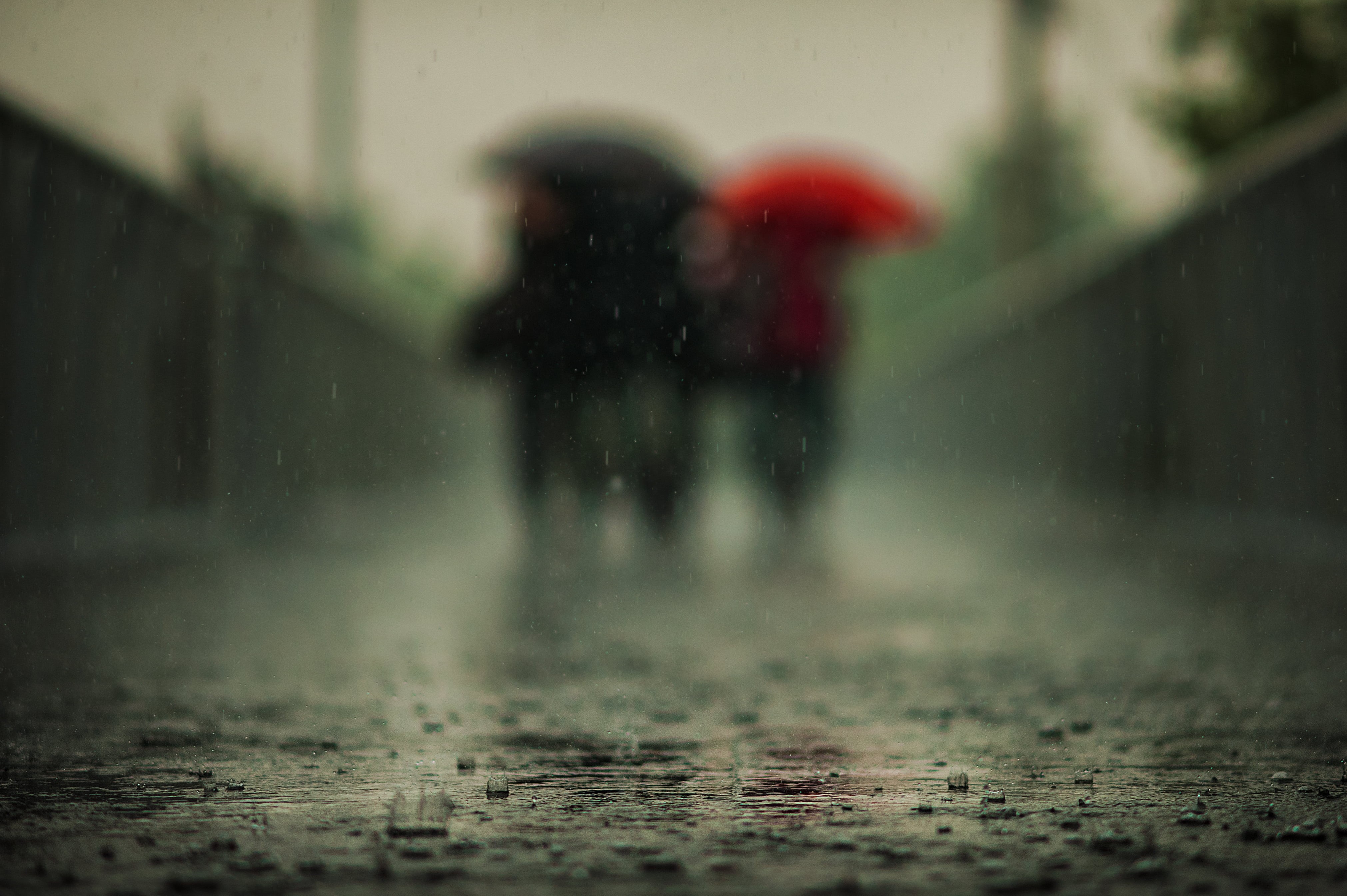 DxO, umbrellas, AF, Beijing, ground, pathway, rain, f/2, blurry, walking, using, Cool, wet, puddles, DC, raindrops, bridge, raindrop, rain  storm, concrete, HD Wallpaper