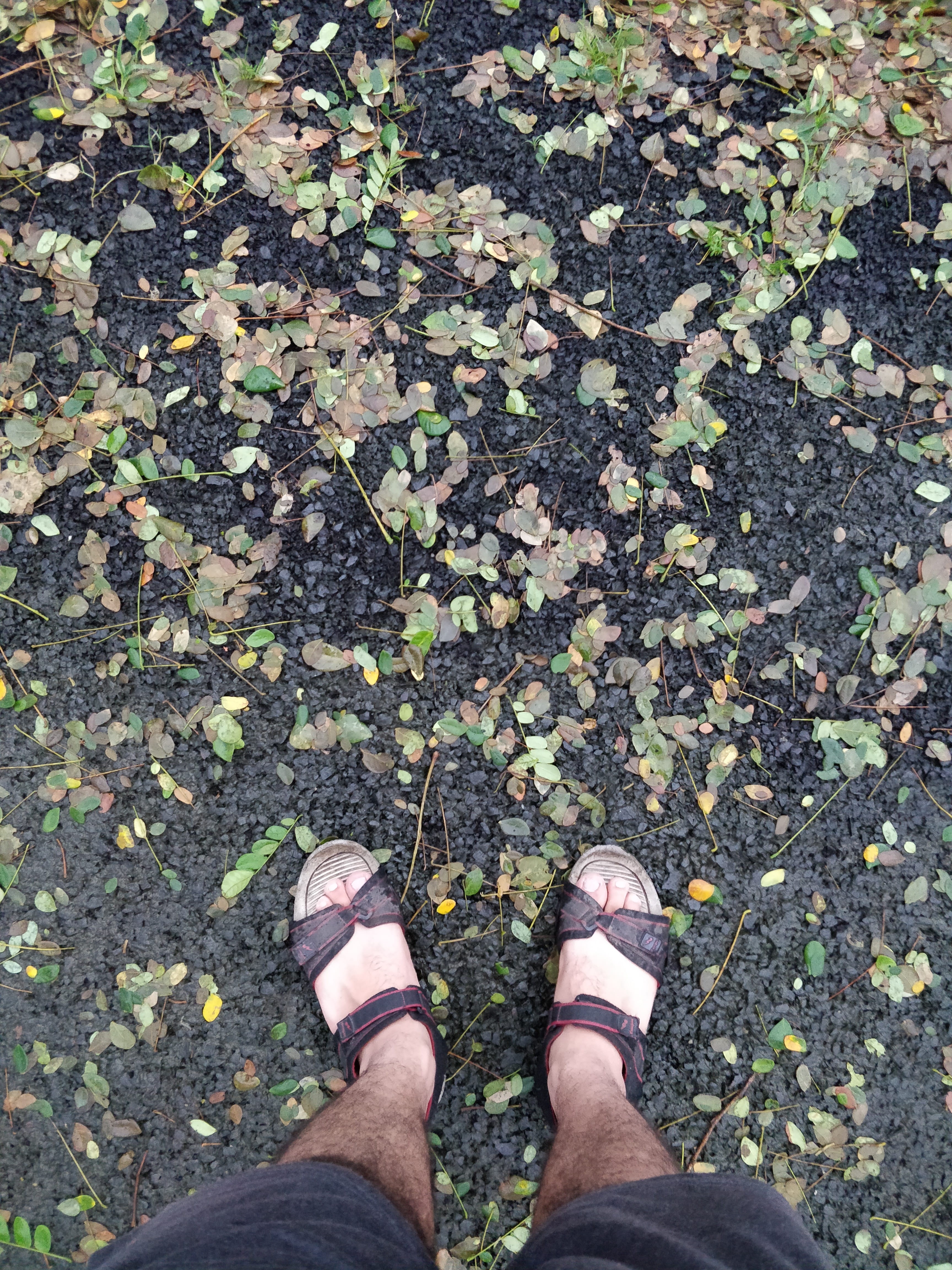 background, high angle view, sandals, body part, plant part, nature, leisure activity, 4K, change, tamhini ghat, monsoon, outdoors, personal perspective, Phone HD Wallpaper