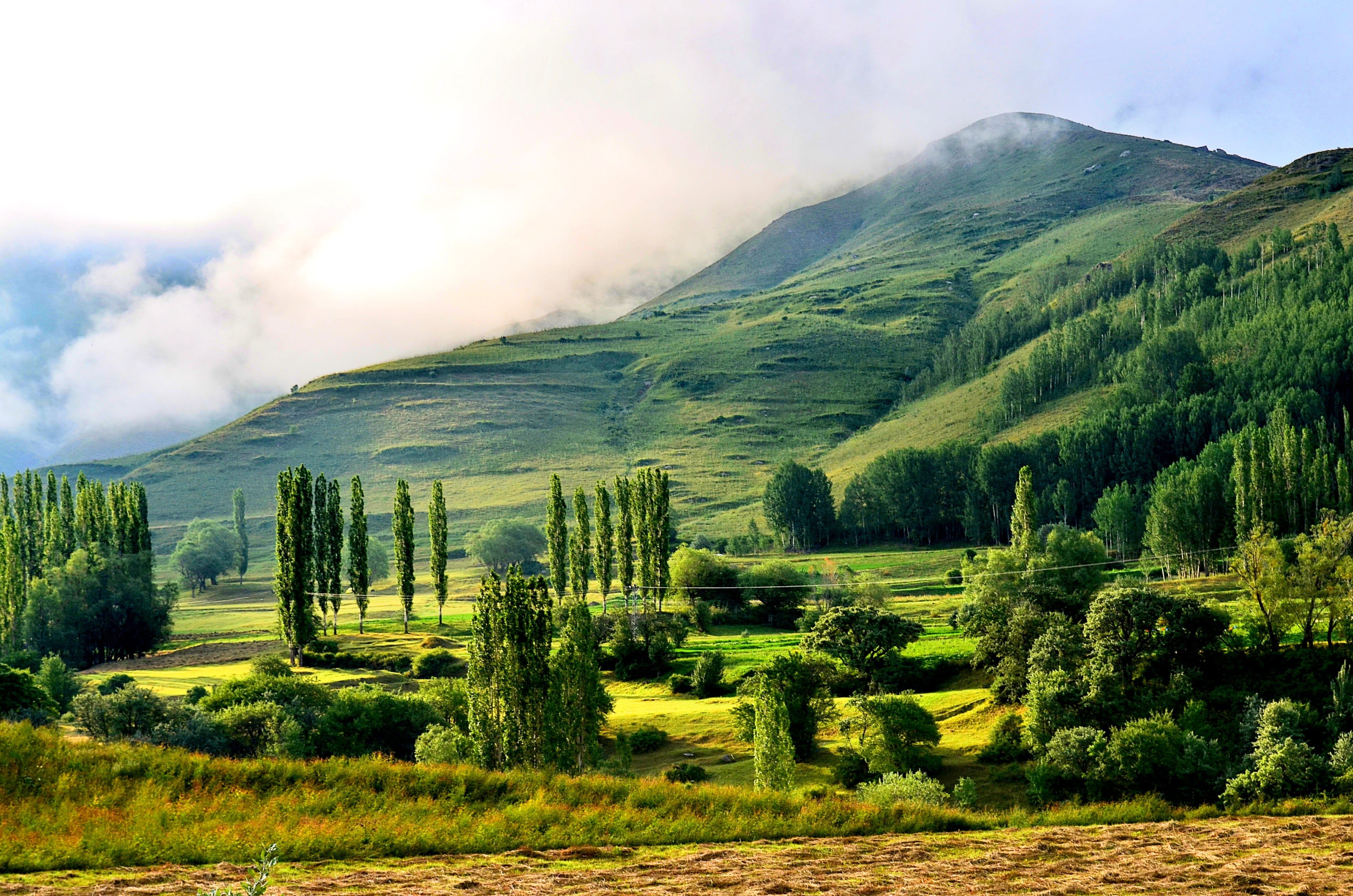 clouds, environment, composition, natural turkey, outdoors, summer, beauty in nature, coniferous tree, non-urban scene, mountain, cloud, tree, HD Wallpaper