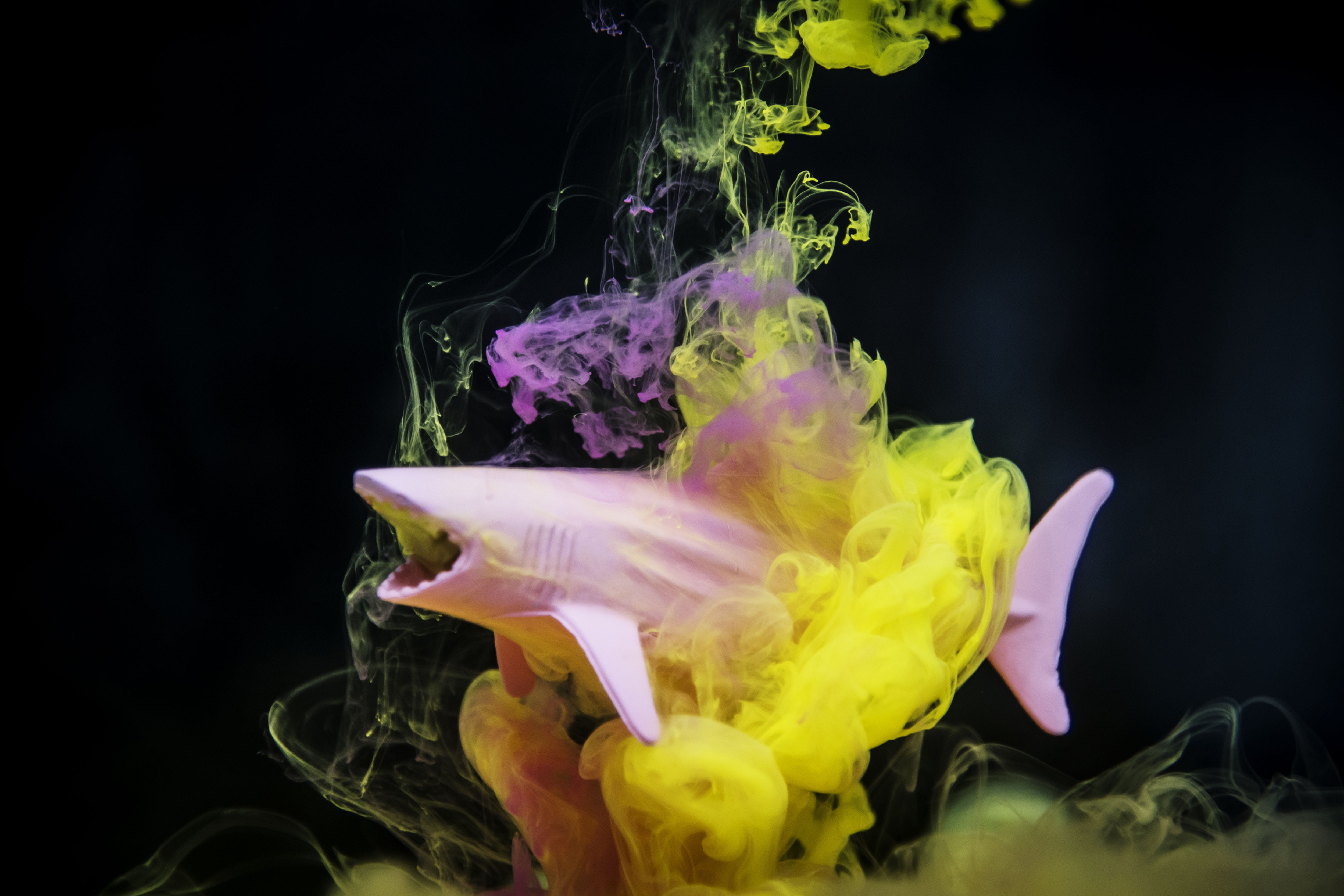 floating on water, pattern, studio shot, underwater, mixing, dye, drip, no people, shape, toy, art, water, contrast, vibrant, modern art, black background, HD Wallpaper