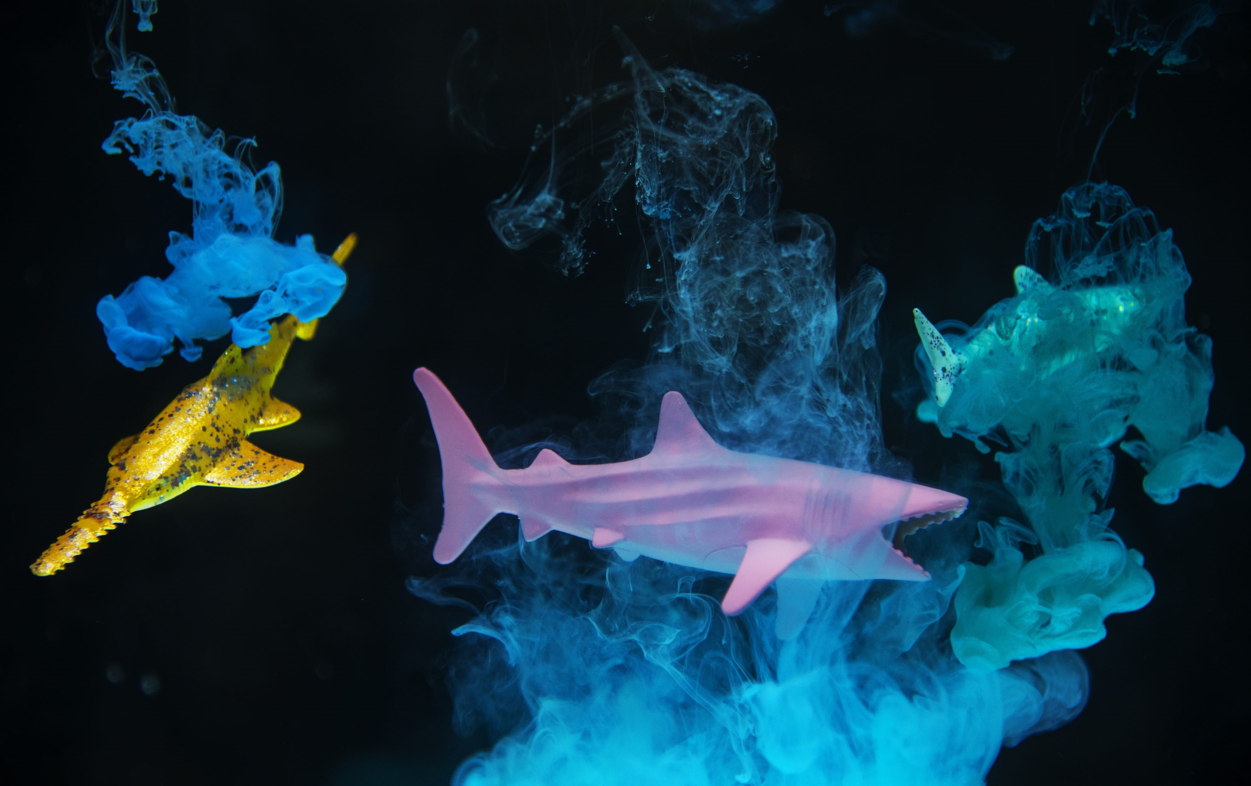 dissolve, creative, motion, water, studio shot, animal themes, color in water, black background, marine, underwater, no people, bright, transparent, contrast, HD Wallpaper