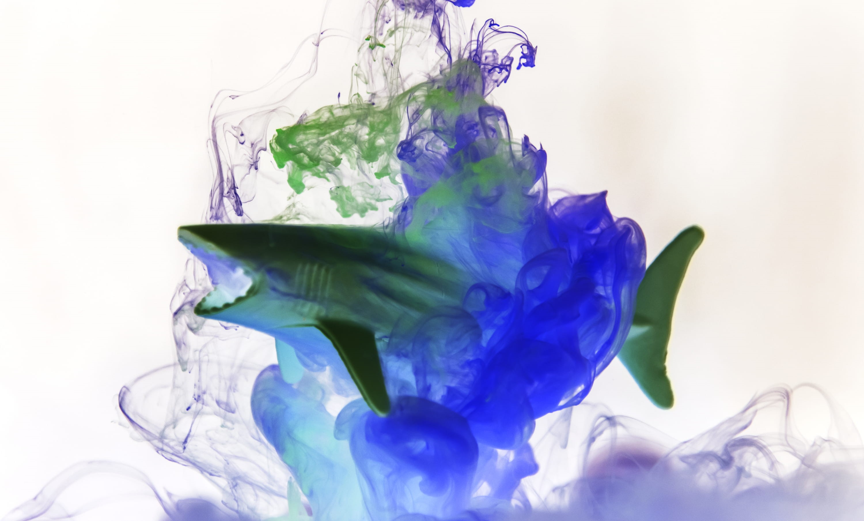 nature, multi colored, creative, ink, figure, decoration, dissolve, color in water, flower, colorful, fish, drip, explosion, blend, motion, deep, cloud, HD Wallpaper