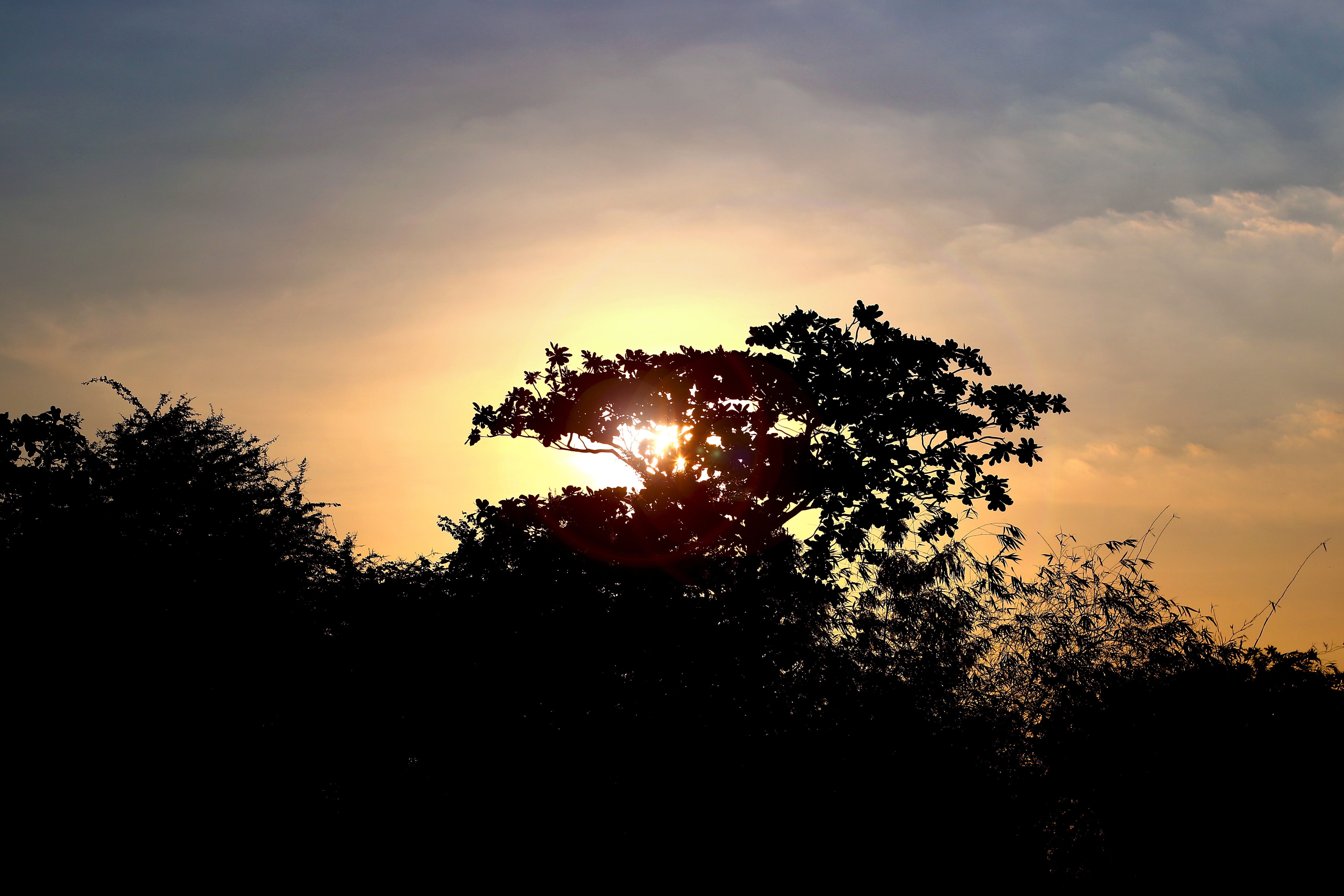 sunshine, Sunset, weather, natural, outdoor, mountain, non-urban scene, sunny, park, lens flare, vacation, tree, environment, hill, green, grass, tourist, HD Wallpaper