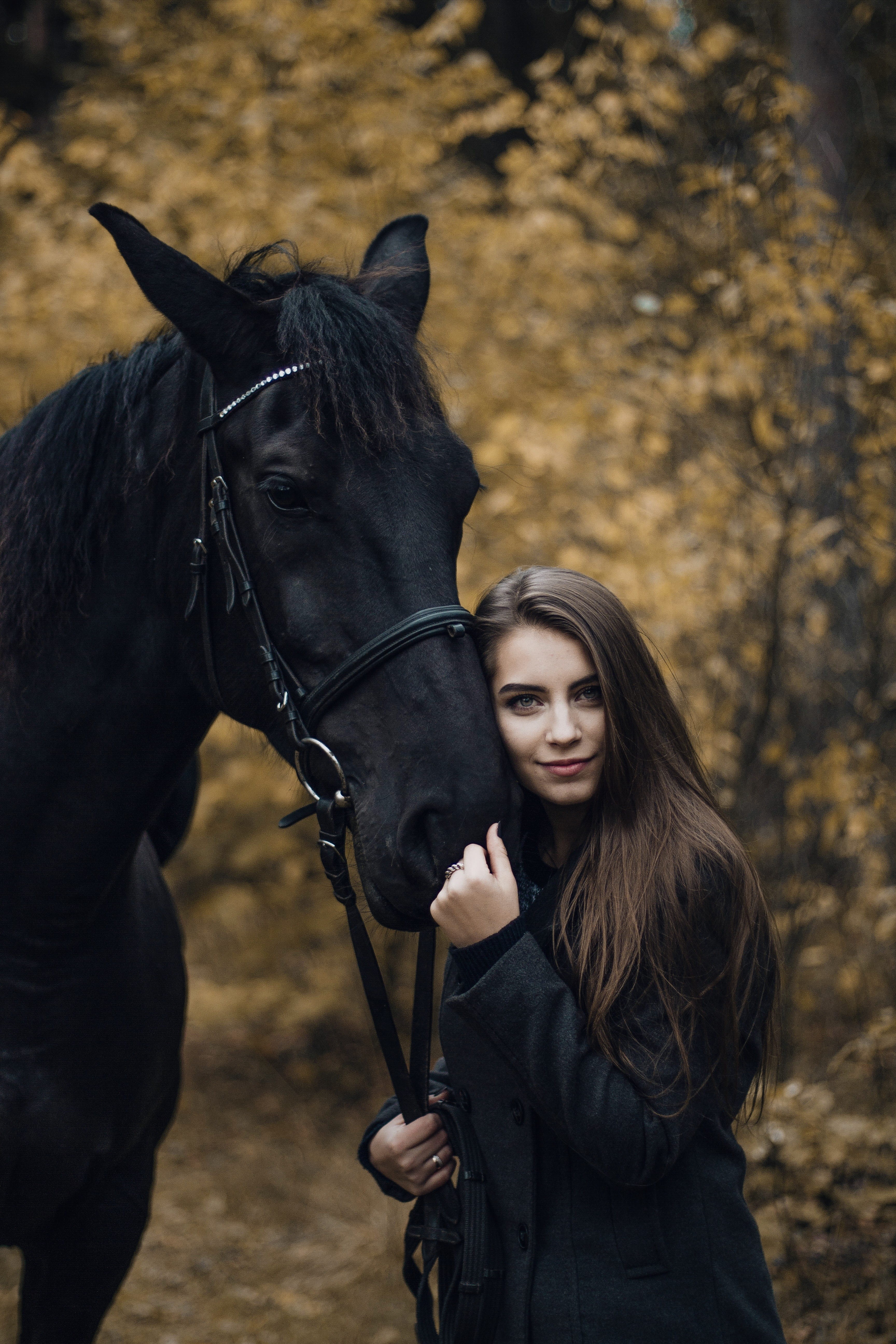 5K, farm, leaves, love, smiling, people, beauty, animal, nature, forest, horseback Riding, brown hair, elegance, day, cheerful, black, stallion, thoroughbred Horse, Phone HD Wallpaper