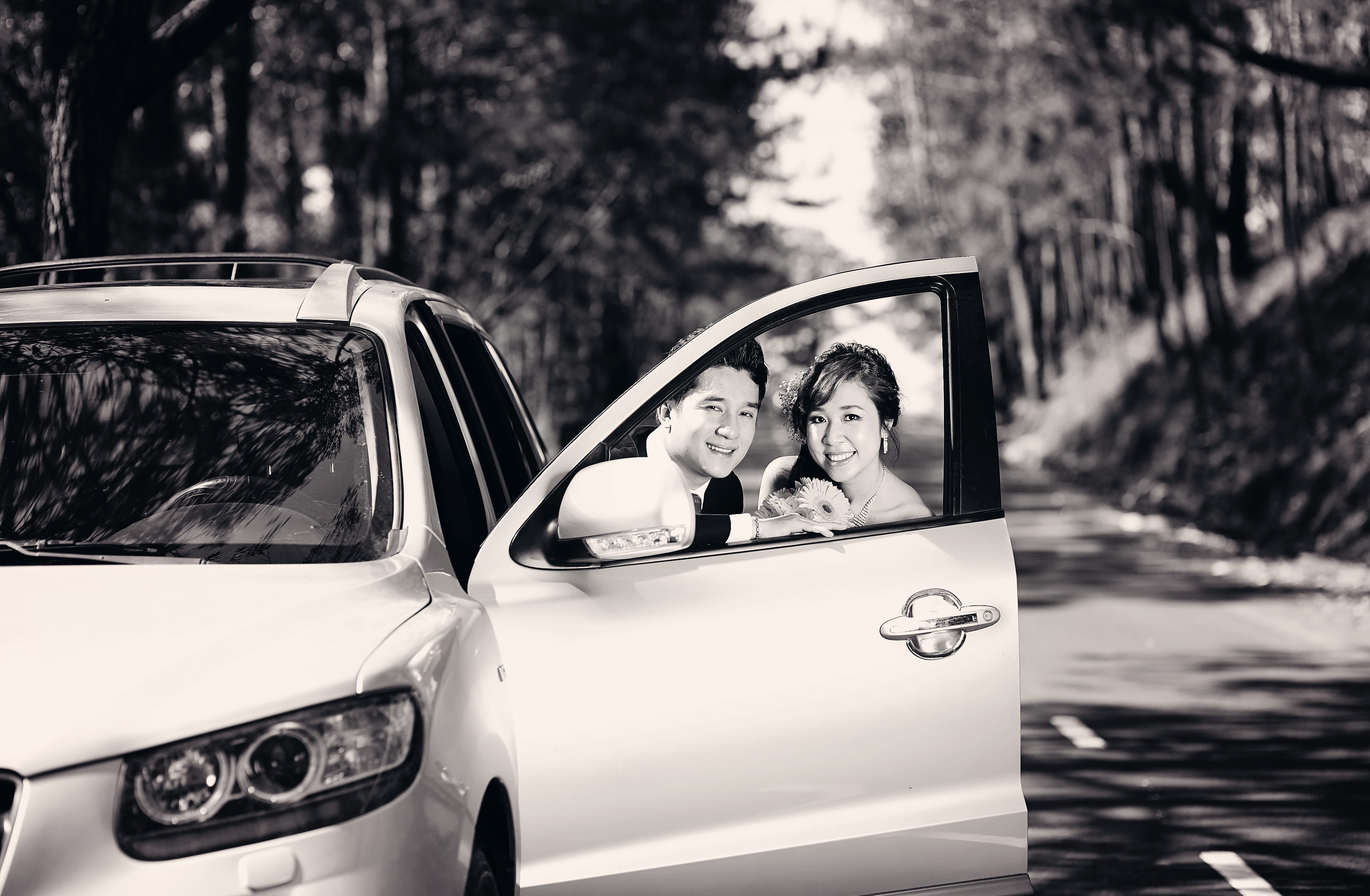 female, tree, young adult, happy, together, looking at camera, vehicle, car, attractive, motor vehicle, day, cute, romance, transportation, outdoors, behind, HD Wallpaper