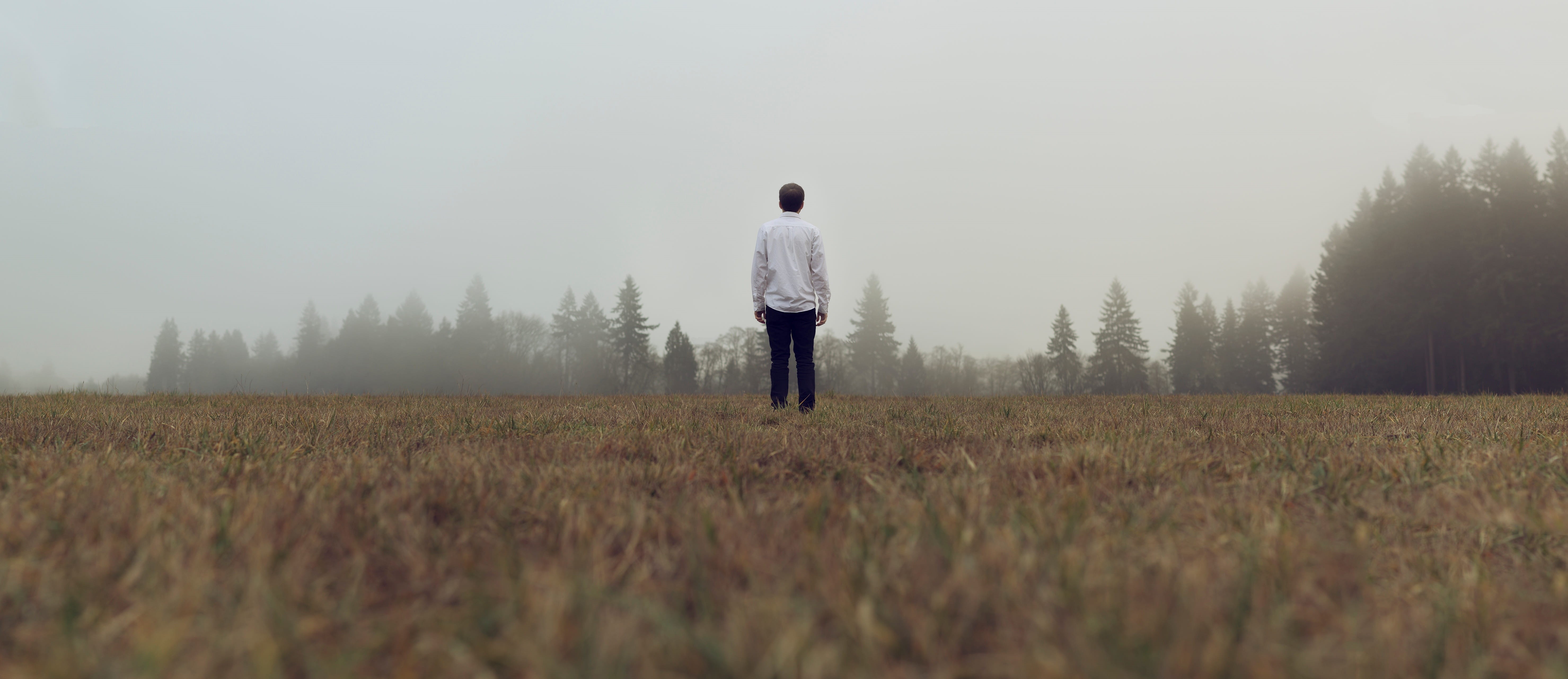 businessman, landscape, day, adult, viewpoint, grass, rural Scene, color Image, tree, land, natural Phenomenon, solitude, person, sky, caucasian Ethnicity, HD Wallpaper